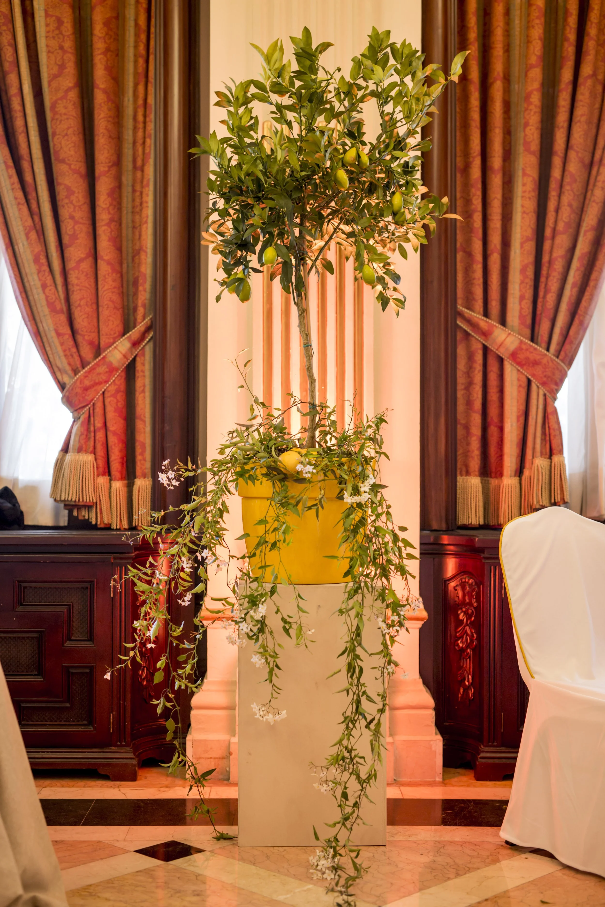 A decorative arrangement featuring a potted plant with yellow pears through a white pedestal, set against a backdrop of elegant curtains and wooden paneling in a formal room.