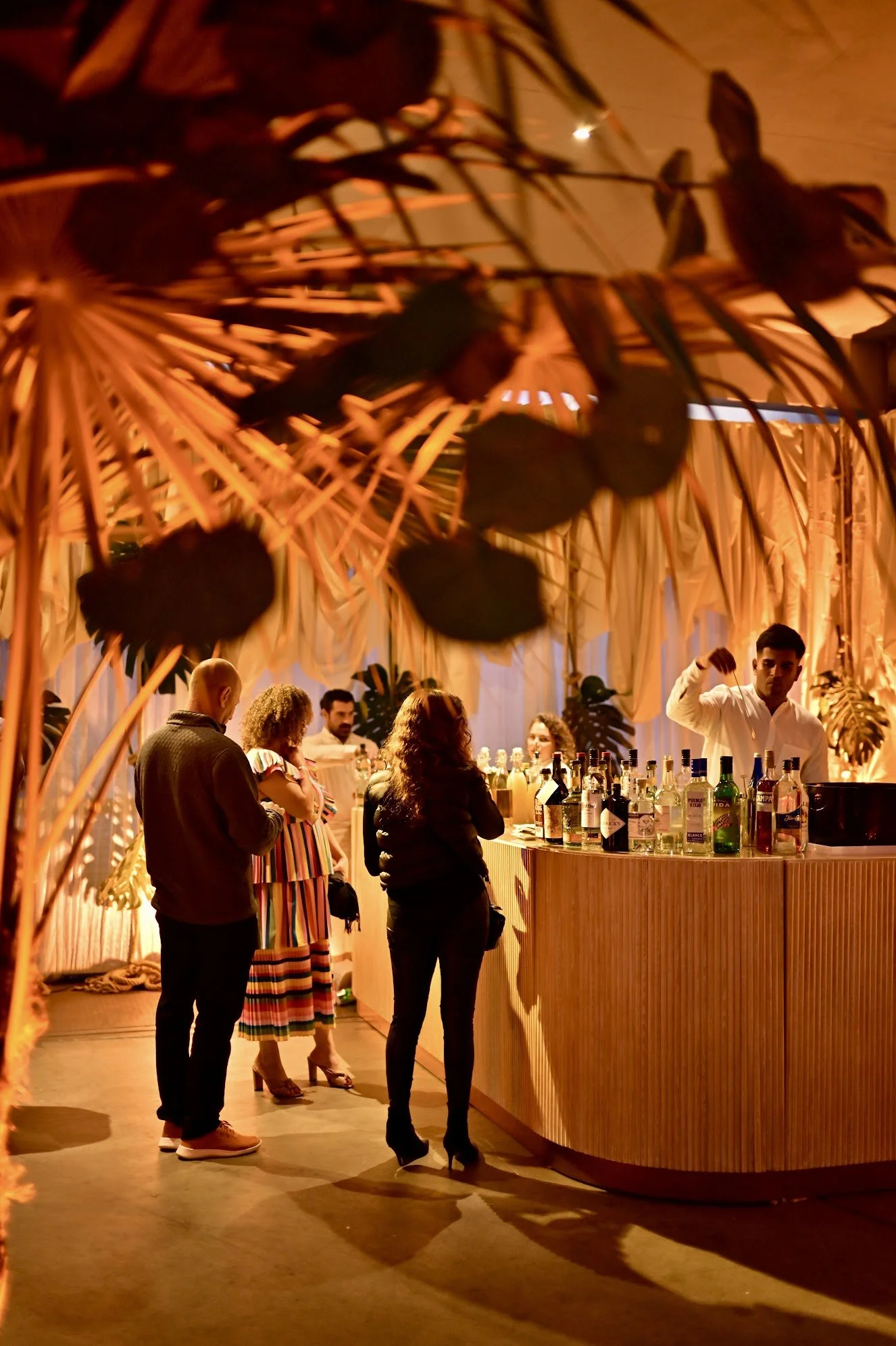 Cocktail Bar at the Rubell Museum with tropical plant hangings