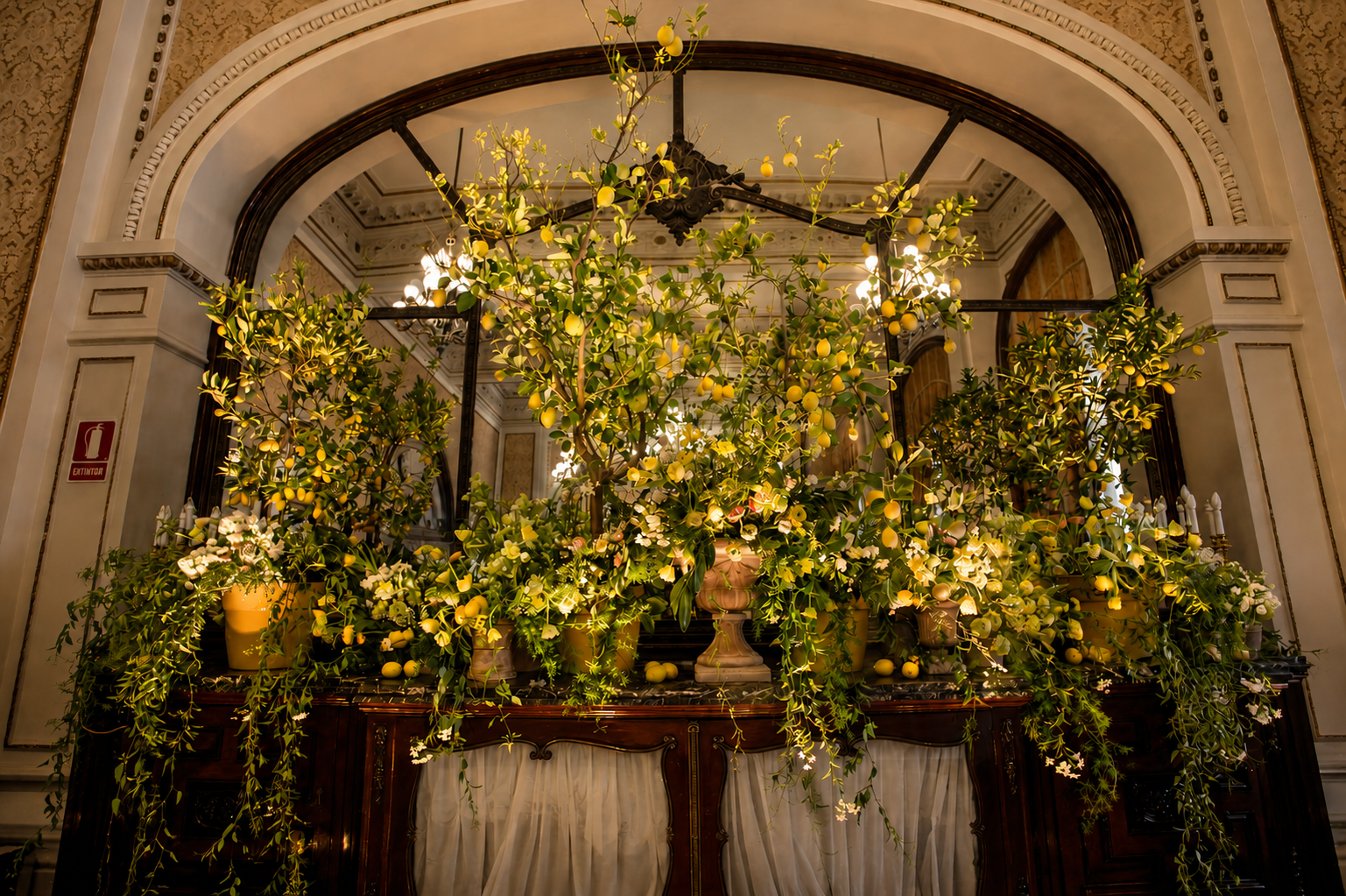 lemons and branches arranged over an old world table against a mirror in a sumptuous display of Seville nature