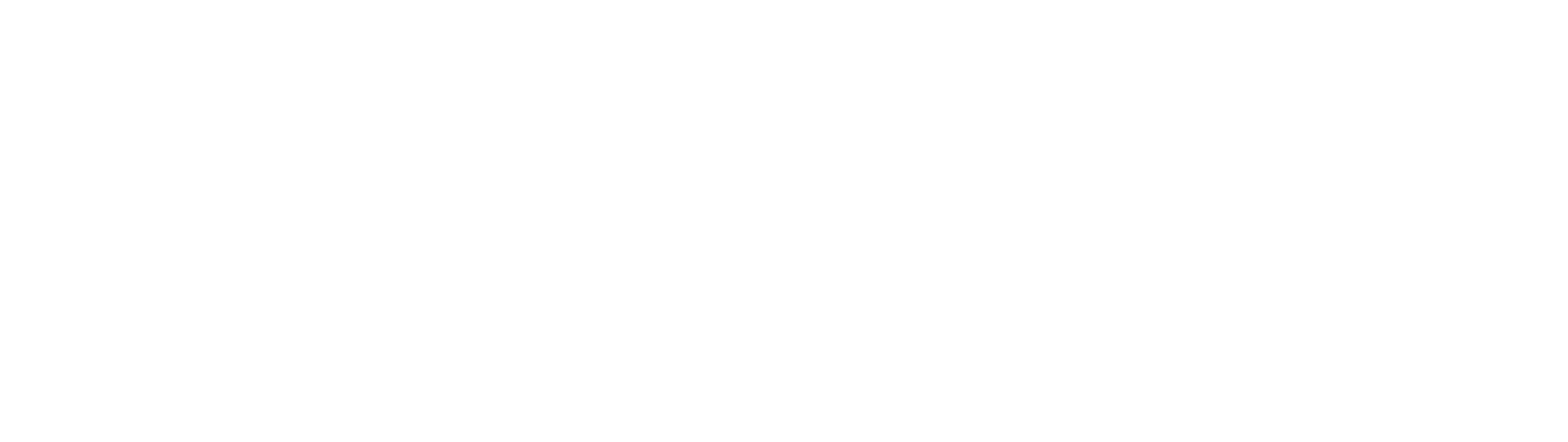BNP Paribas logo with a black and white flying bird icon on a white background and the company name in white letters.