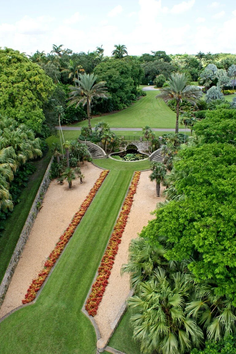 A lush tropical garden with a manicured lawn, palm trees, a fountain with lily pads, and a gravel pathway bordered by flowers, surrounded by dense greenery.