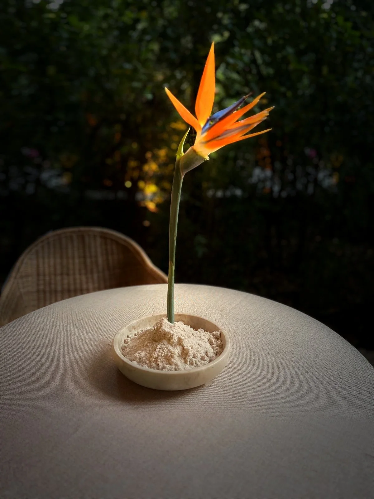 single bird of paradise in sand for a floral accent at the Bank of America cocktail for Art Basel