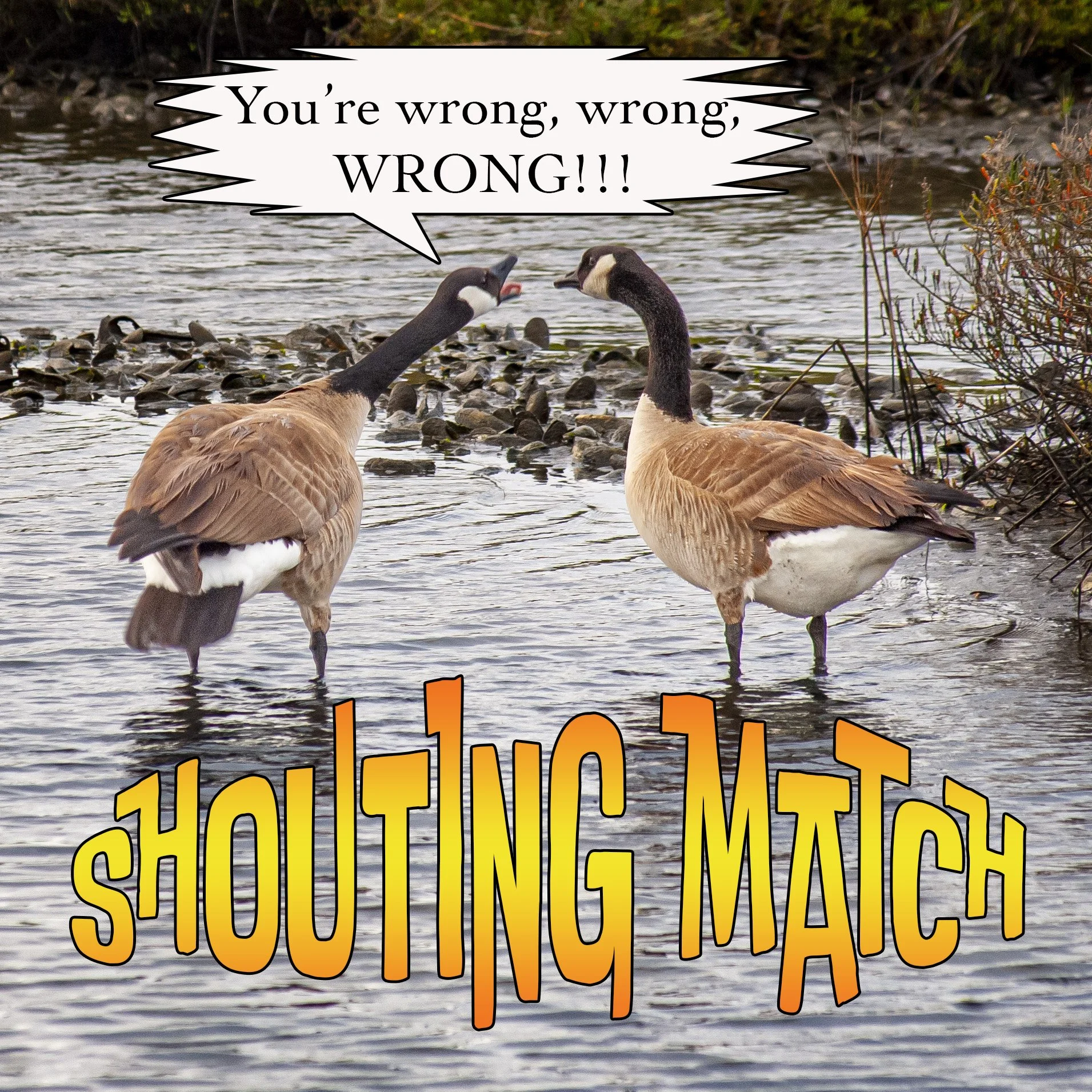 Shouting Match