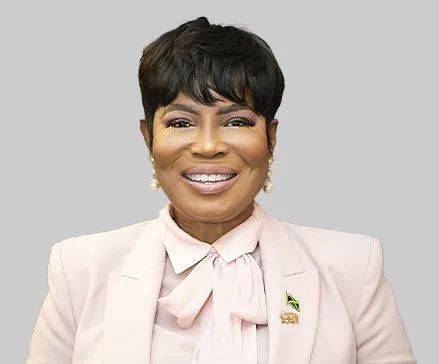 Portrait of a smiling woman with short dark hair, wearing a light-colored blazer and blouse, with a South African flag pin on her lapel, against a plain gray background.