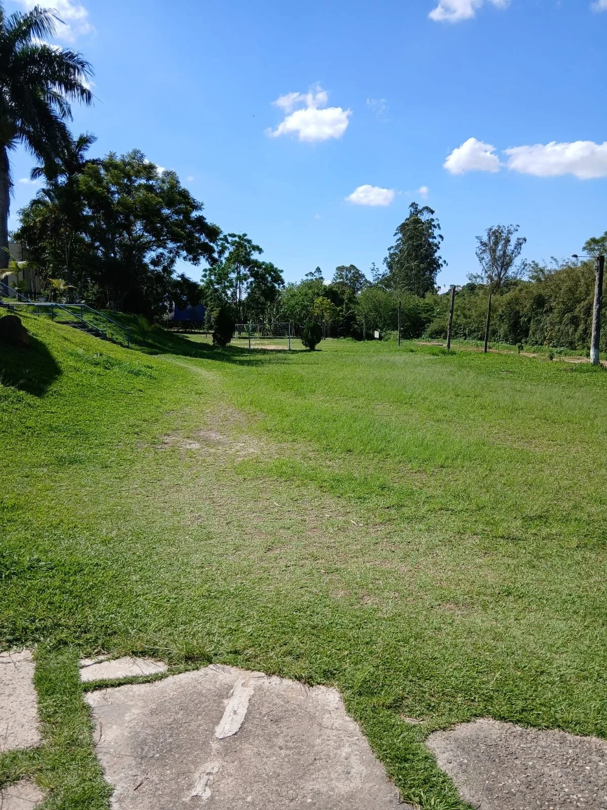 Campo de grama verde, com árvores ao fundo e céu azul com algumas nuvens.