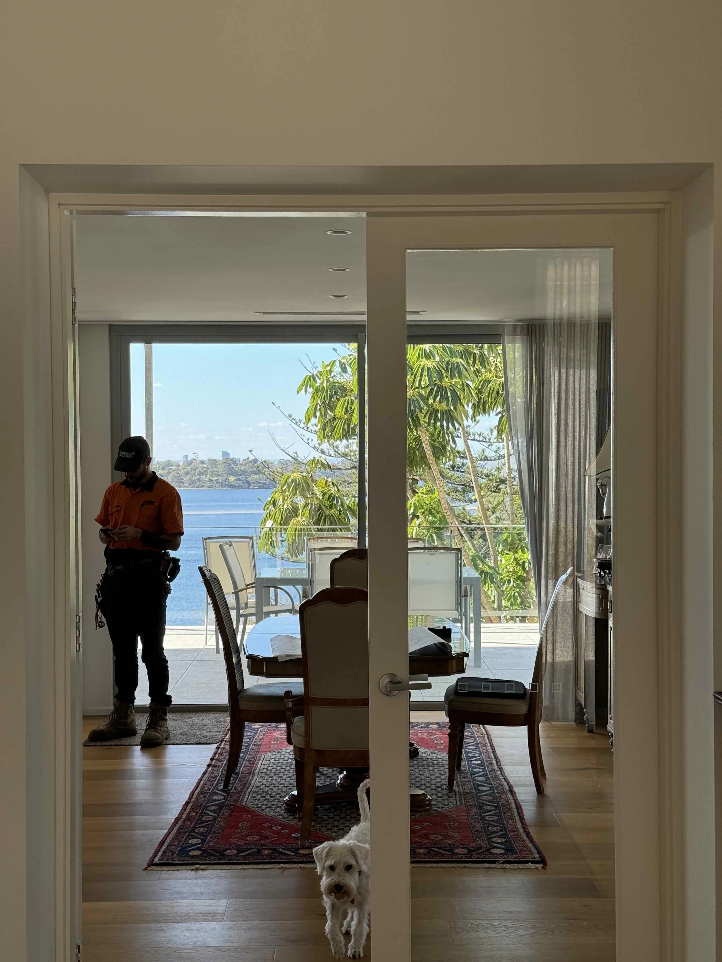 A view through a glass double door into a dining room with a view of a river, trees, and a distant city skyline. A small white dog stands in the doorway facing the camera. A person in an orange shirt and black cap is standing near the door on the lef