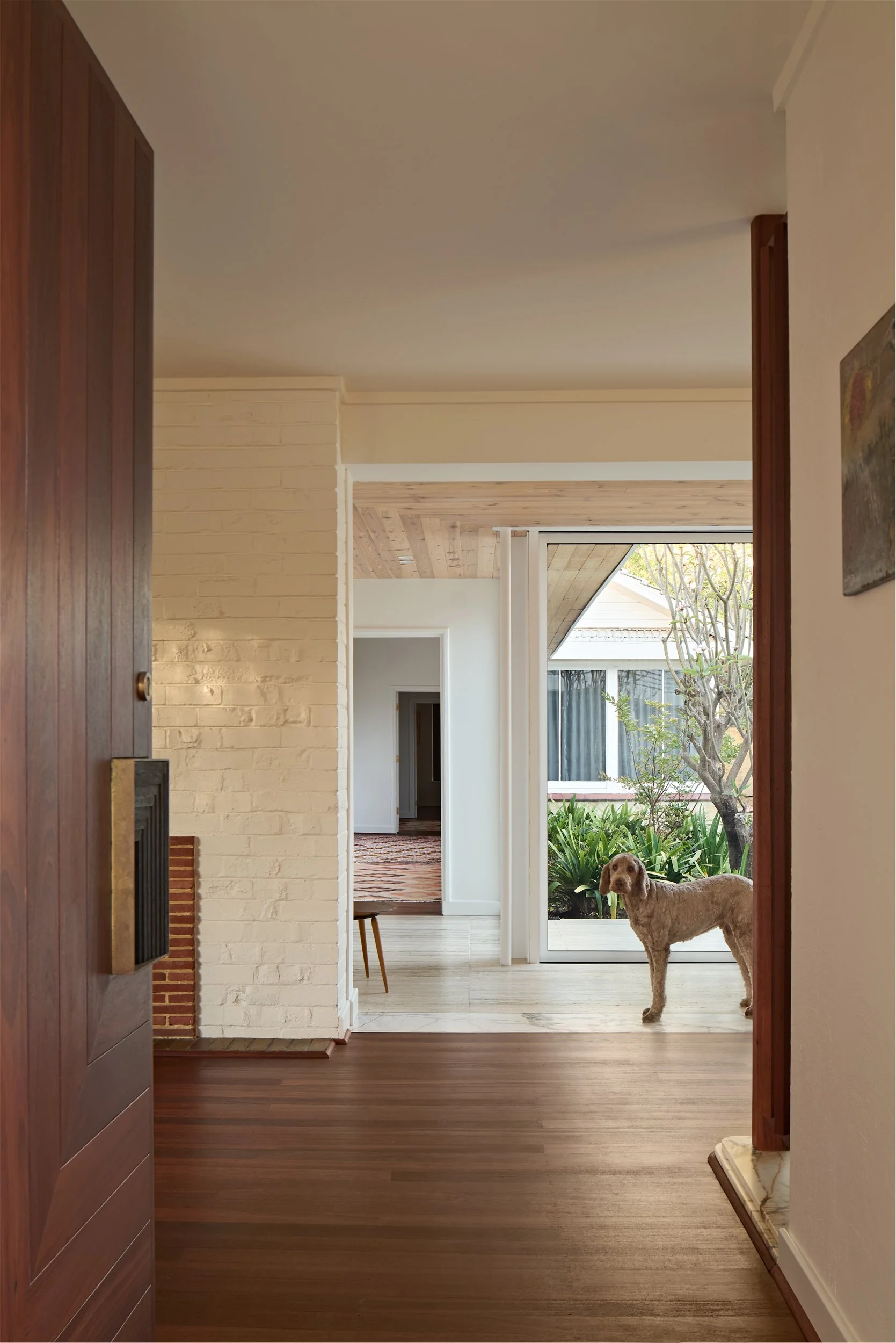 View of a house interior with a dog standing near a sliding glass door leading to an outdoor garden.
