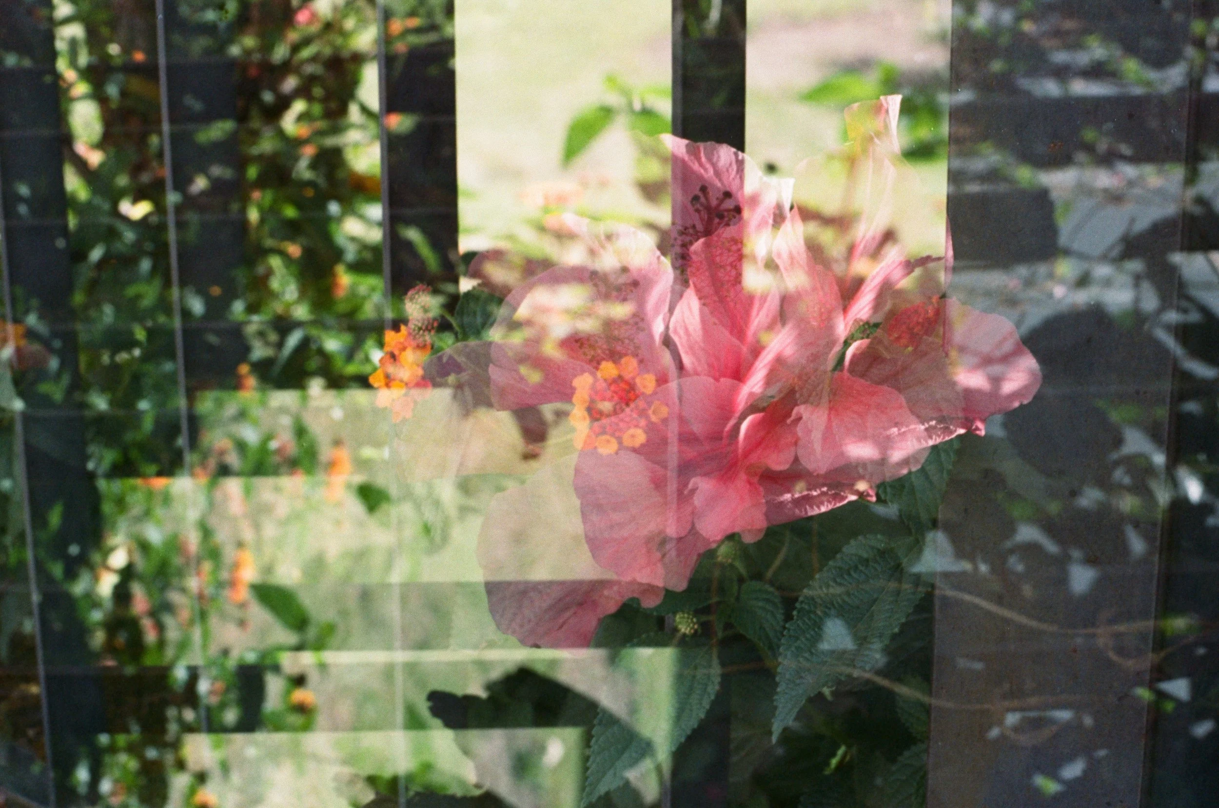 Spring Clean and Create Medicine Circle