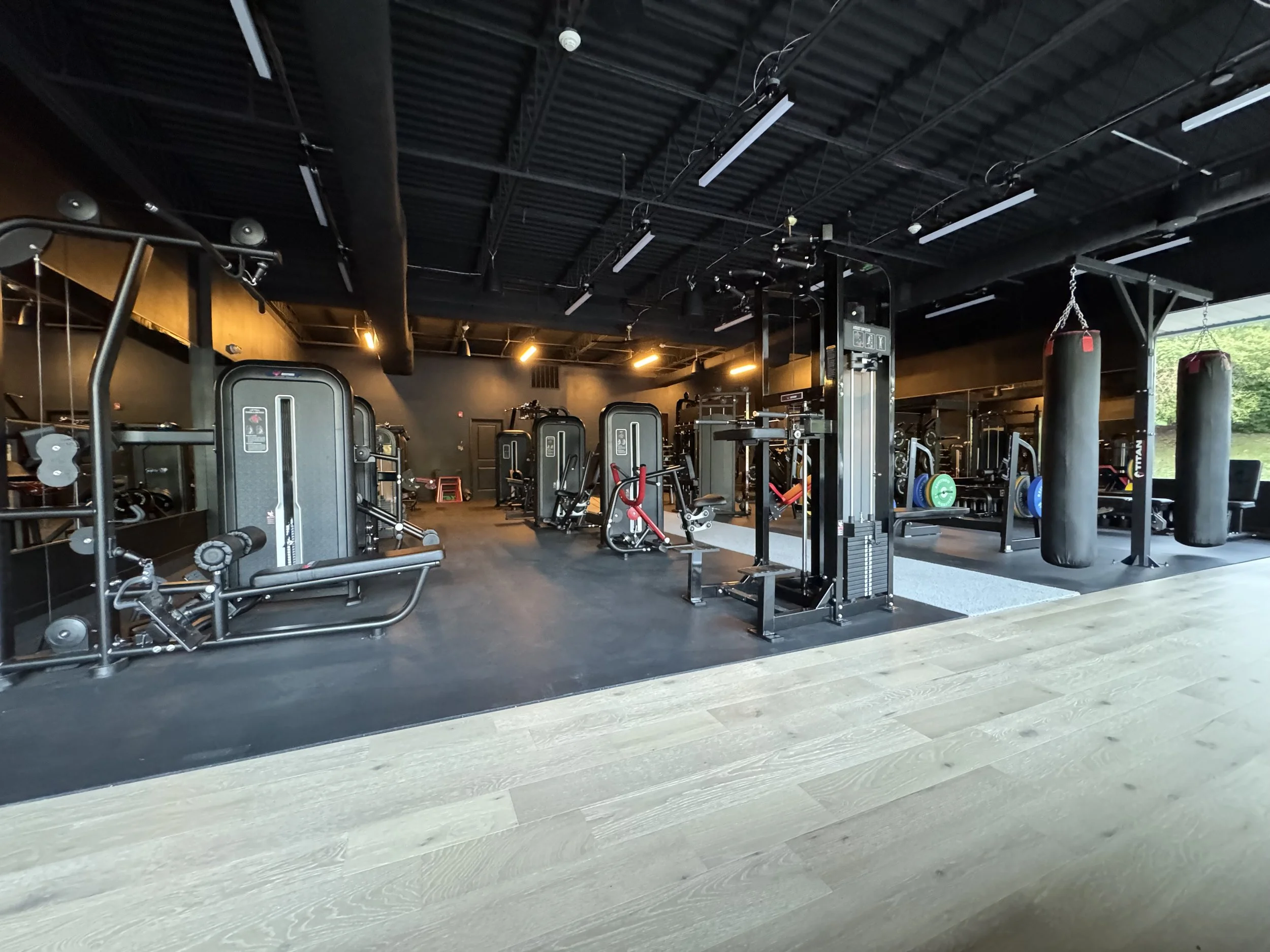 Empty gym with various exercise equipment, including punching bags, weight machines, and free weights, in a modern, spacious fitness facility.
