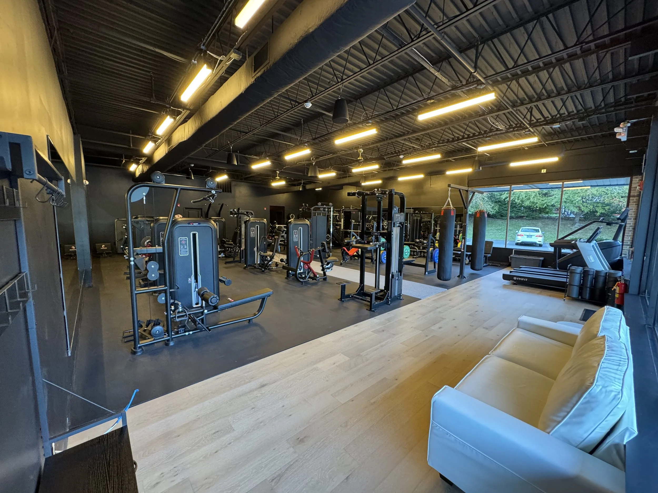 Interior of a modern gym with weightlifting equipment, punching bags, and treadmills, with large windows showing a green outdoor scene.