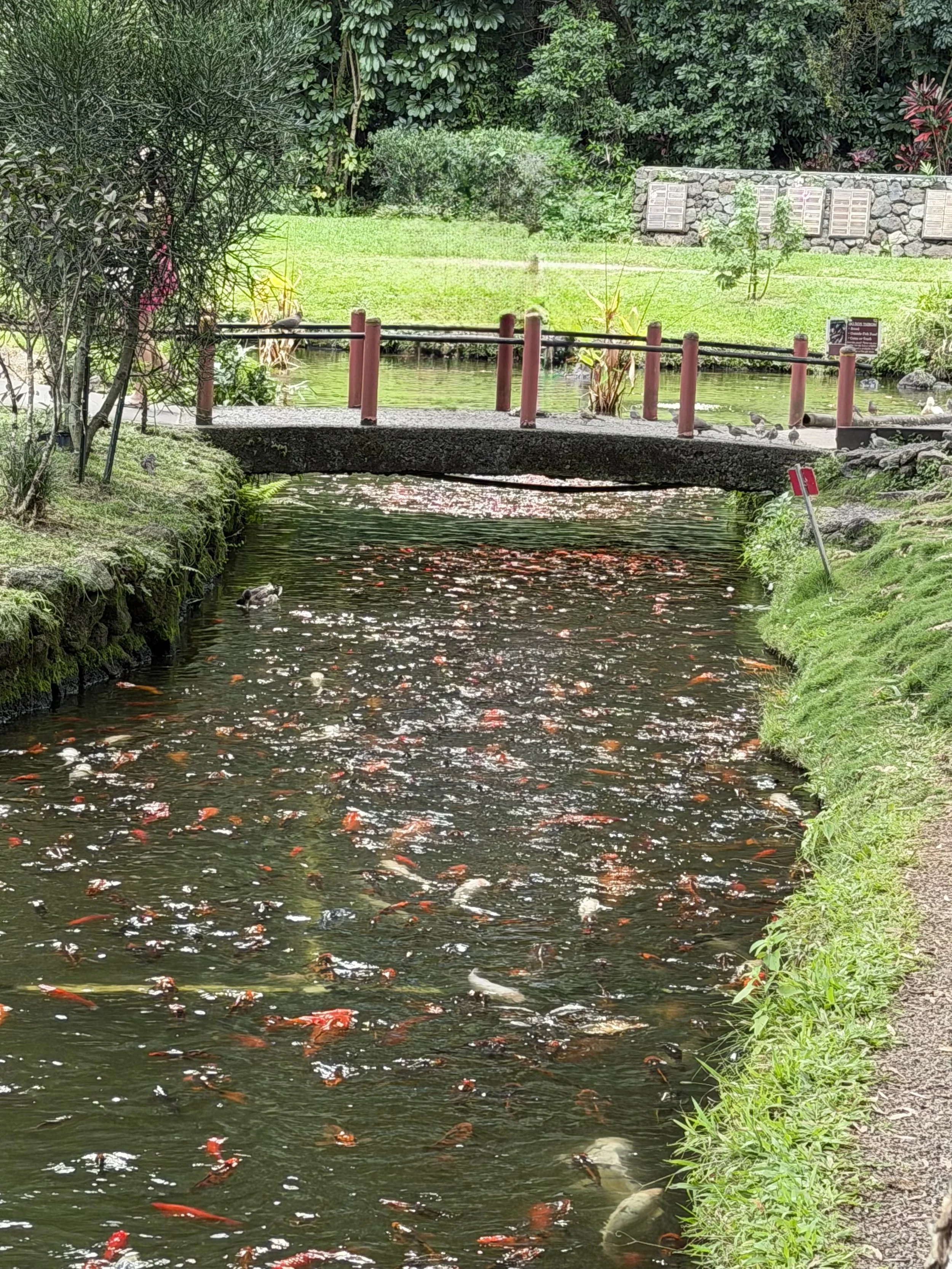 Byodo-in Temple