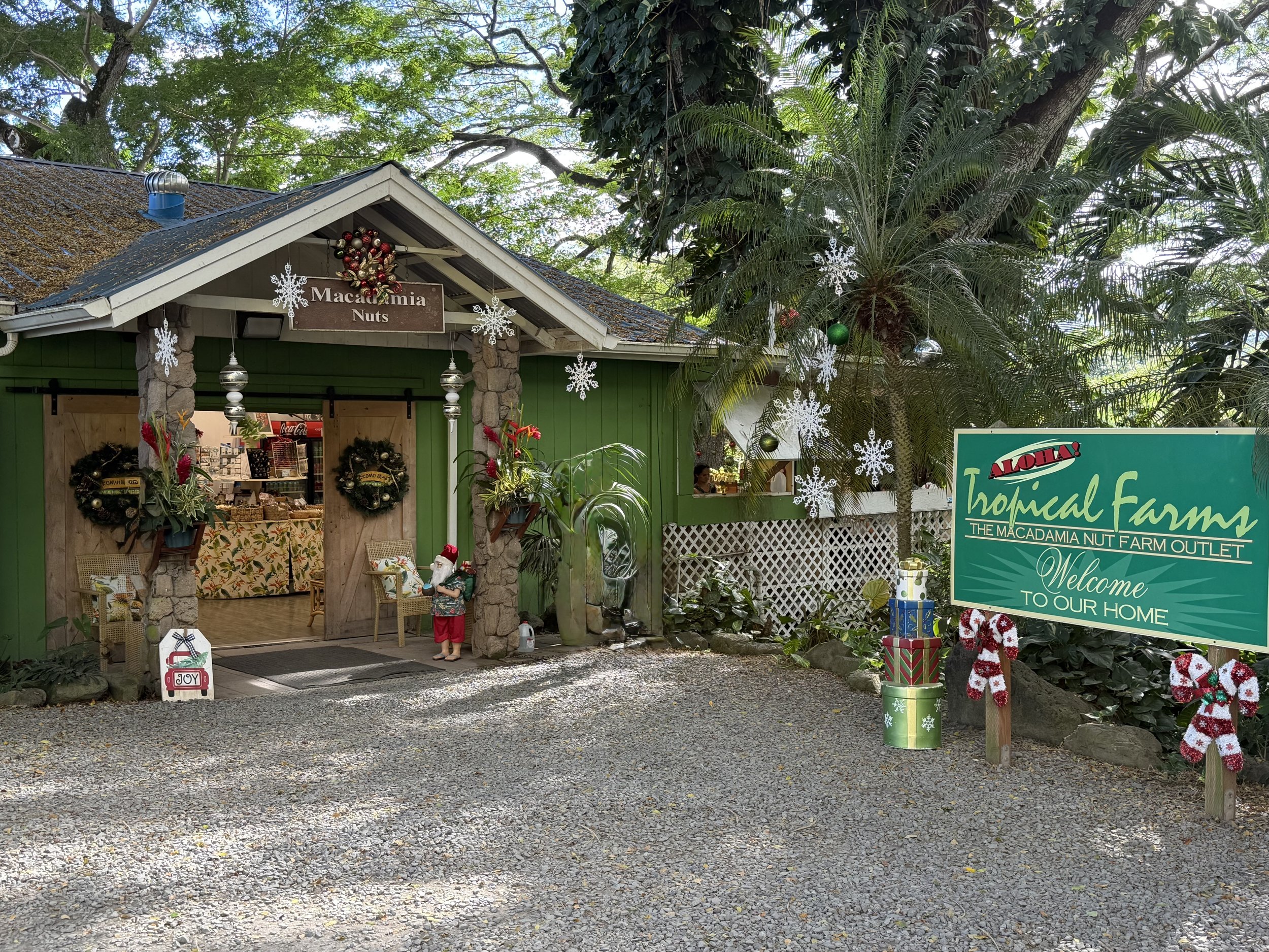 Tropical Macadamia Nut Farm