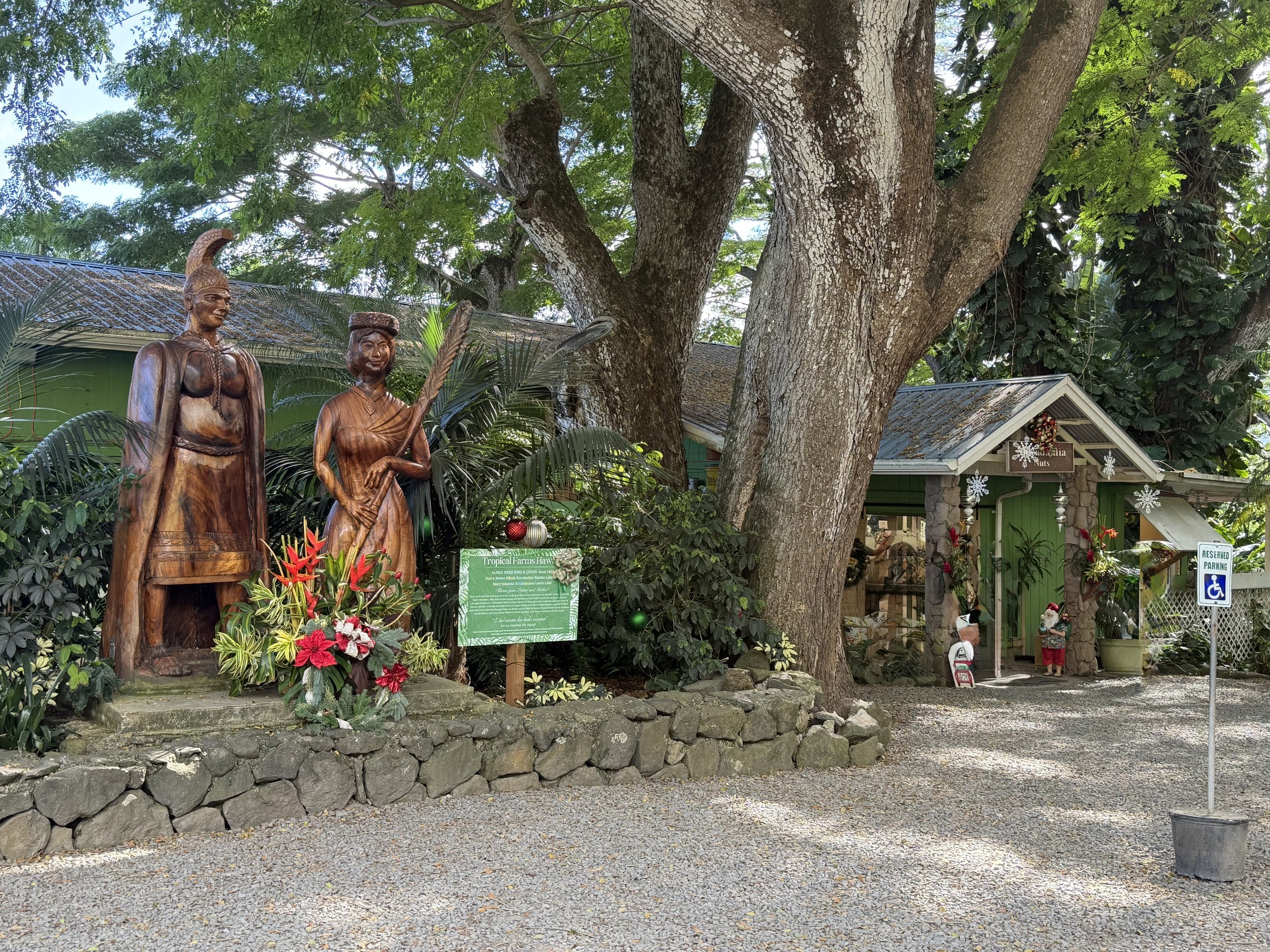 Tropical Macadamia Nut Farm