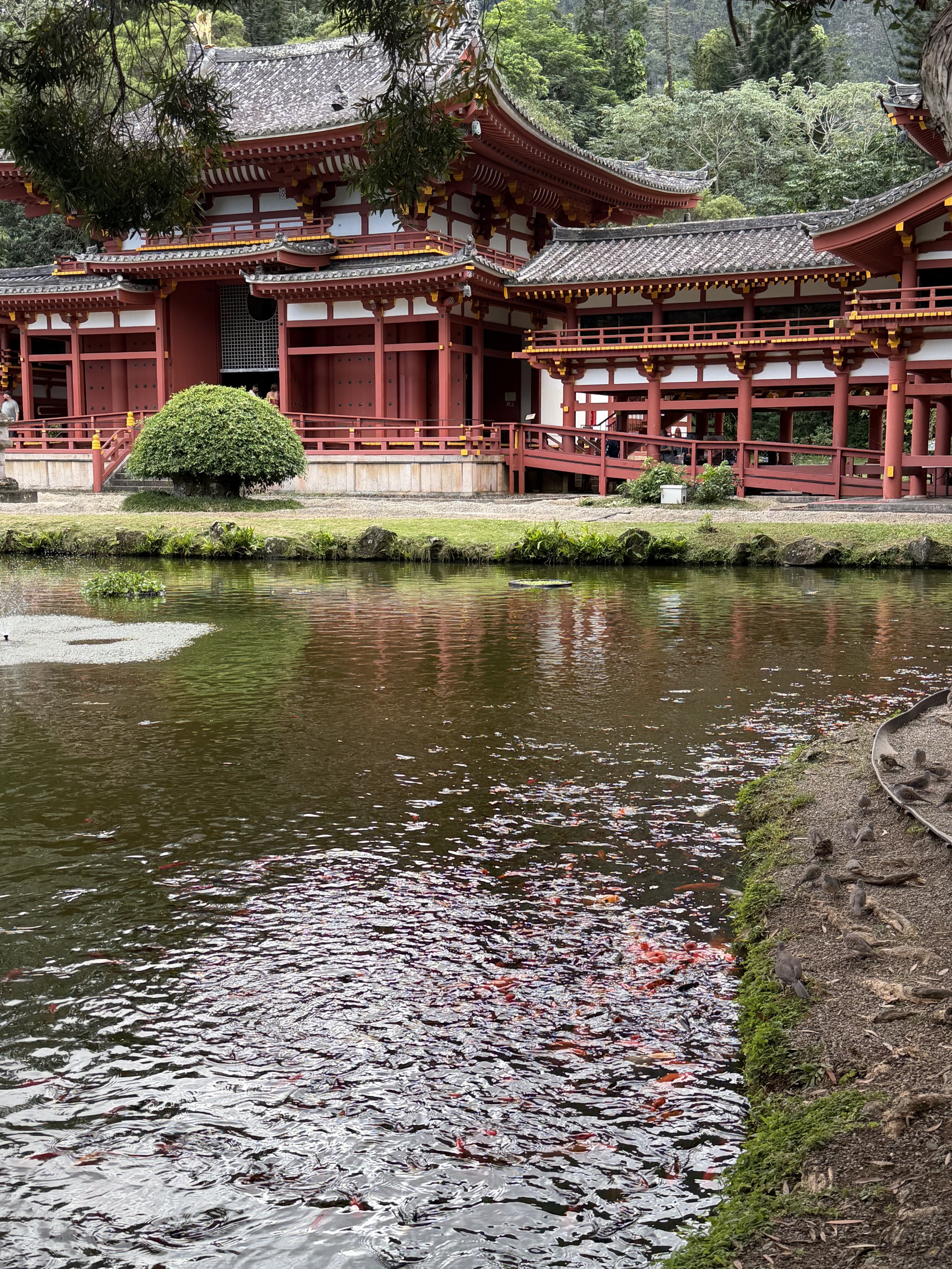 Byodo-in Temple