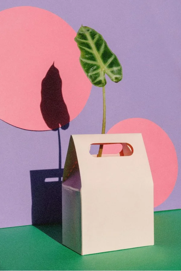 wellness marketing services