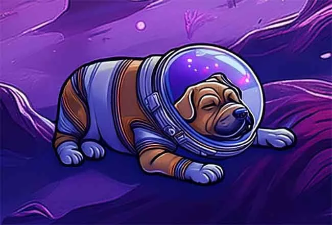 Myth: Pets Sleep All Day Because They Are Lazy