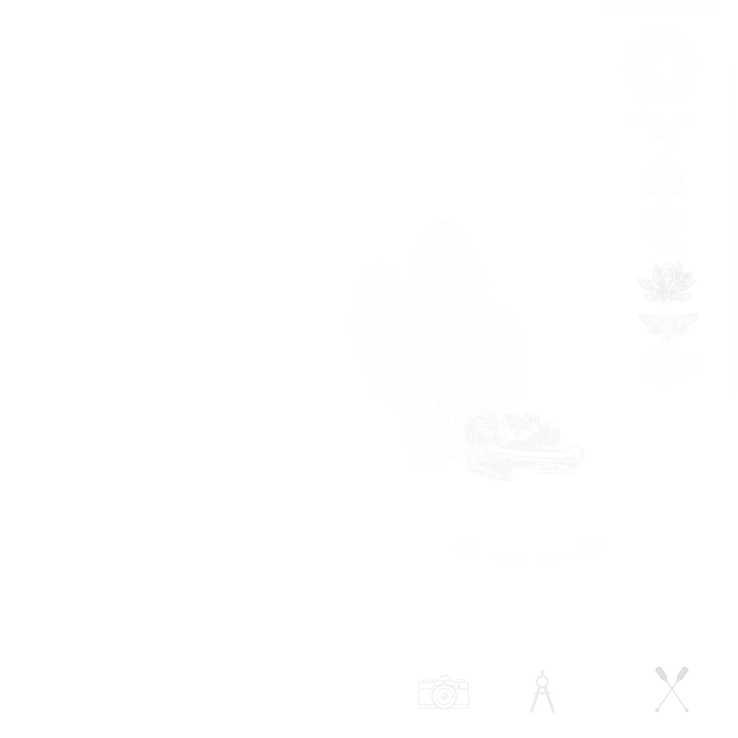 Lakefront Lot in the Pineywoods ETX