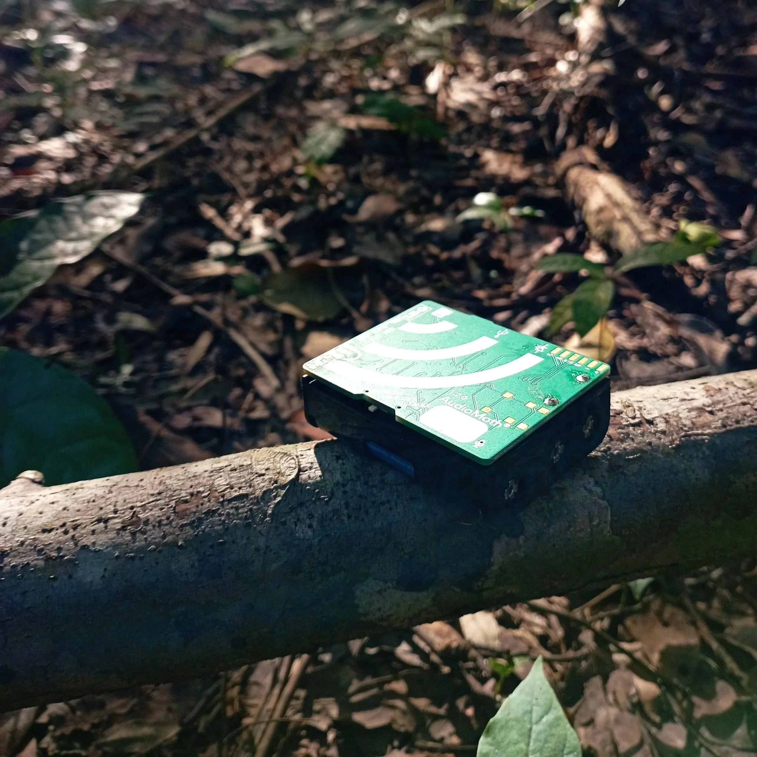 Monitoring design advisory session (1h)