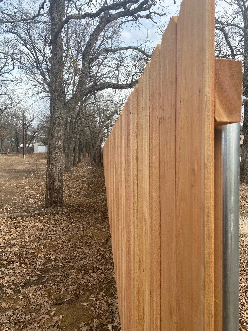 Bocce1 (1).jpg