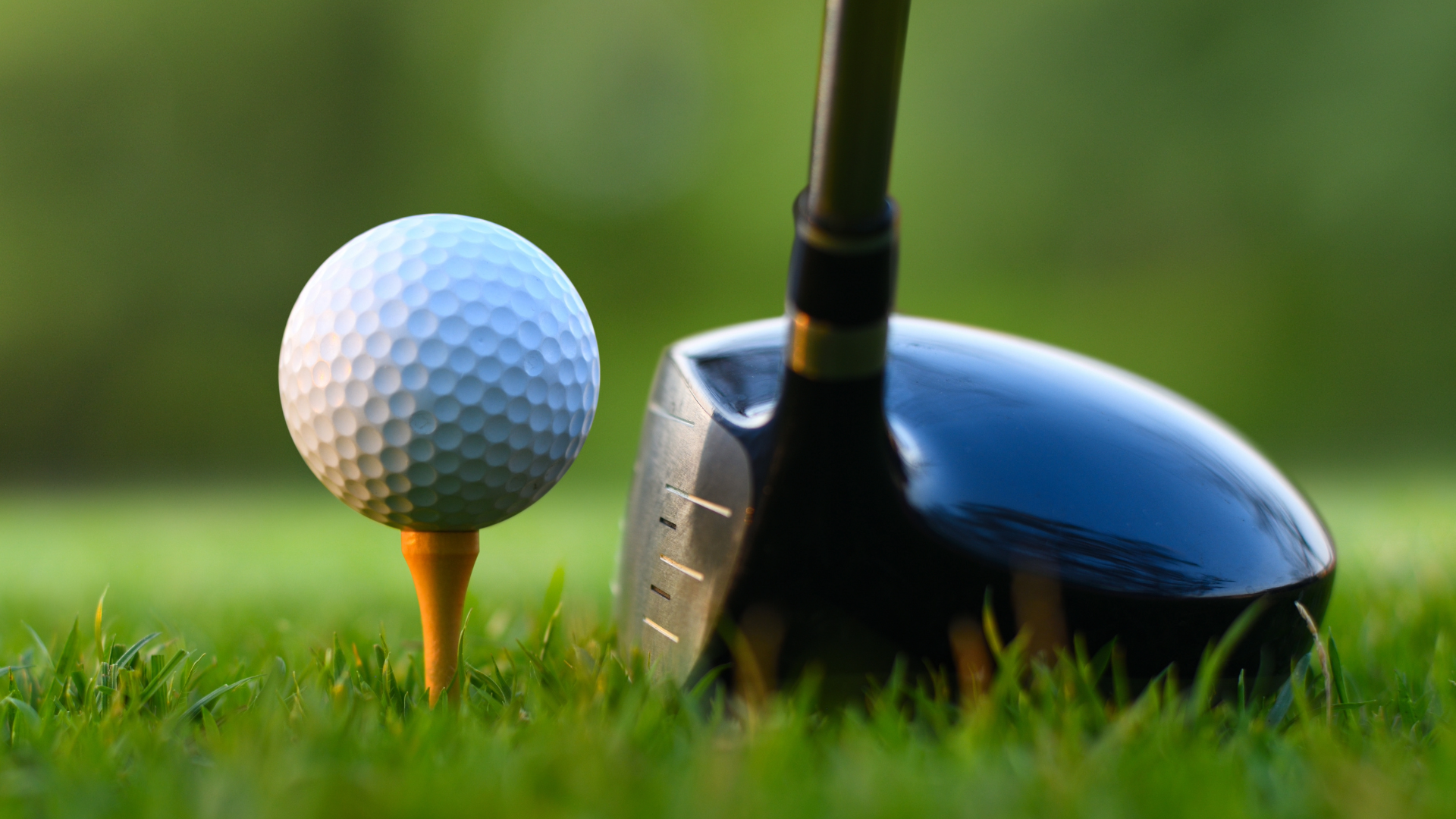 best-golf-tees-featured-image-blog.webp (Copy)