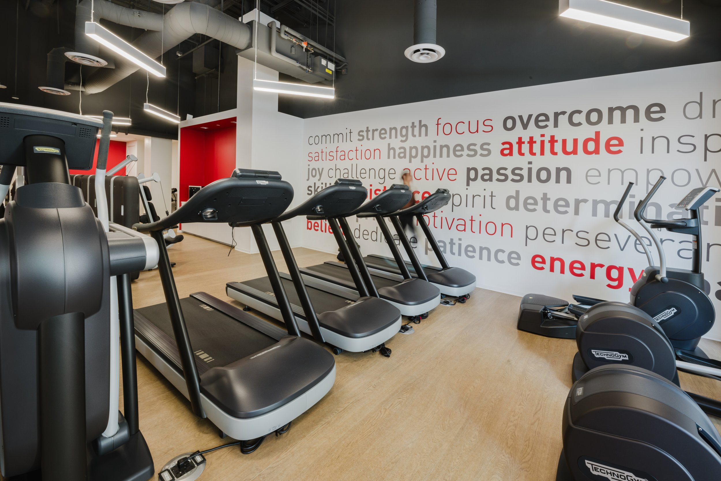 Terrace Gallery Gym Treadmills.jpg