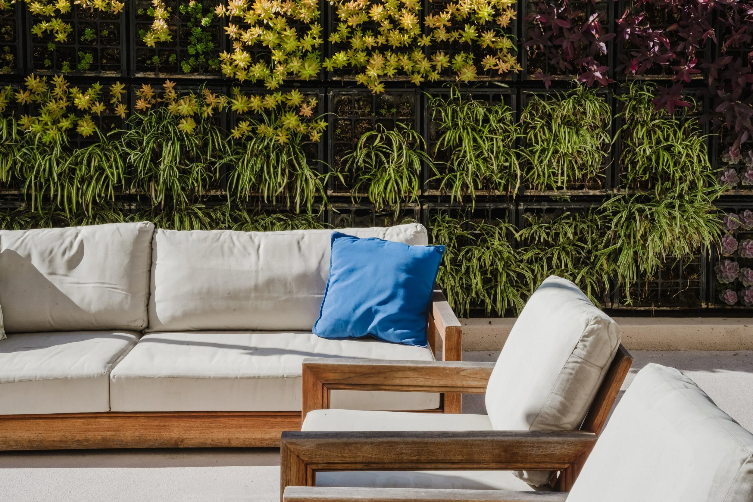 Terrace Balcony Terrace.jpg