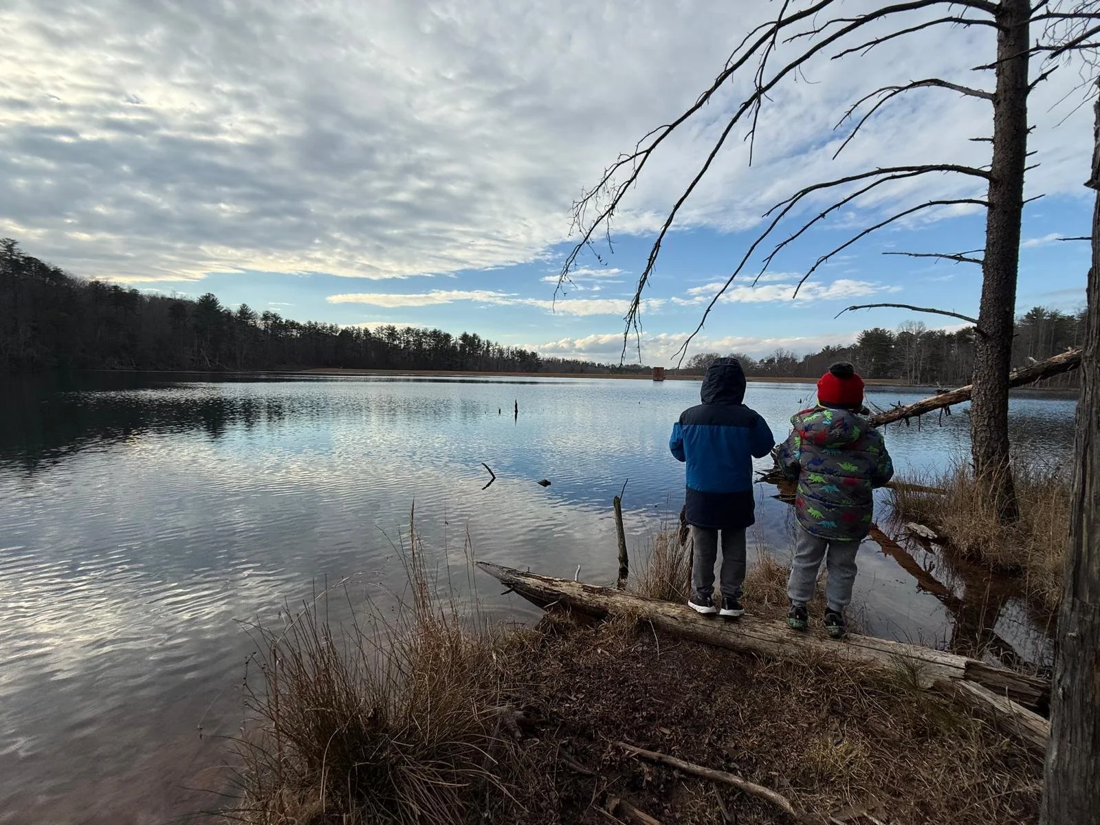 January Kindness Manifesto