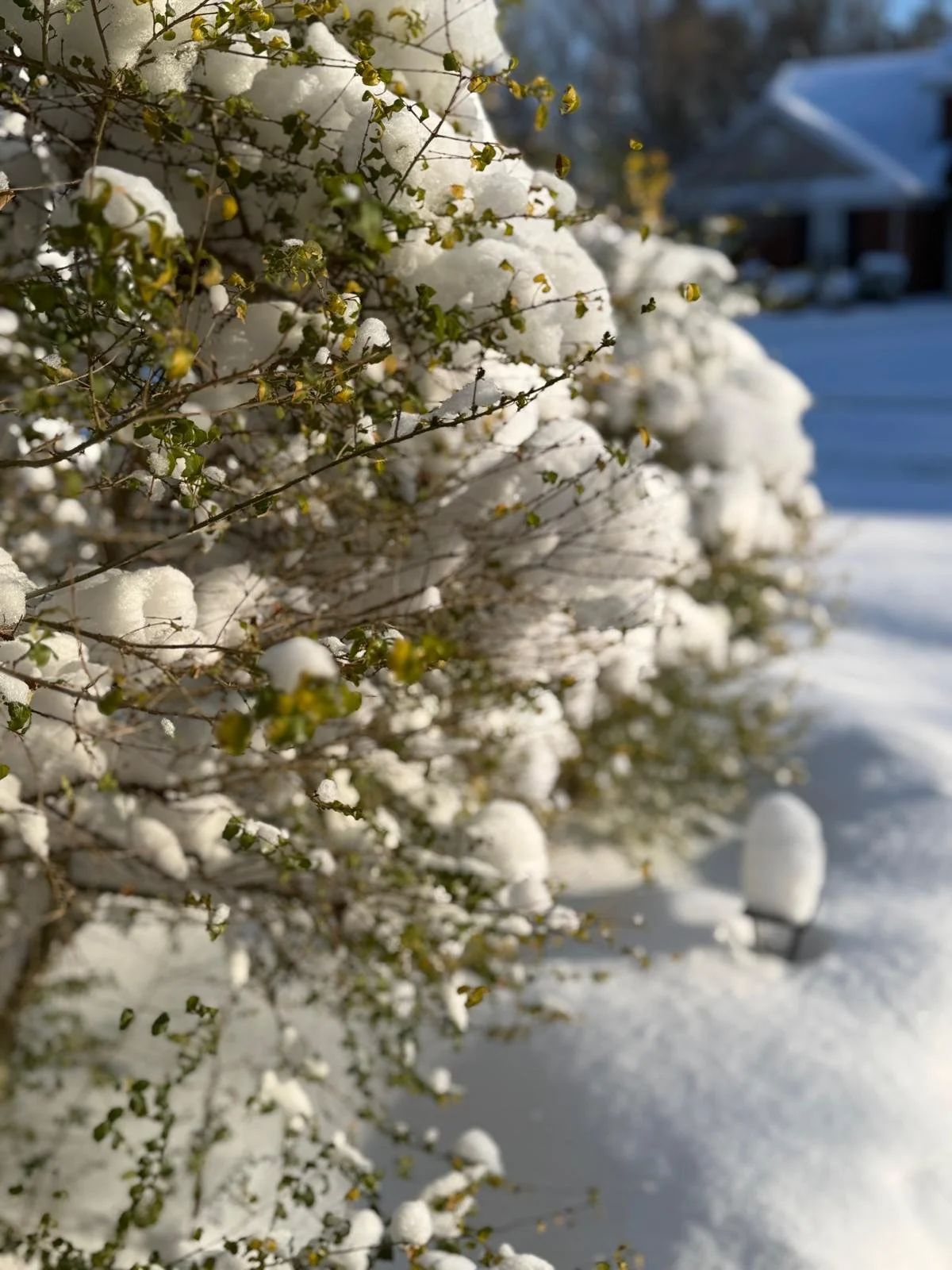 Kindness in the Quiet