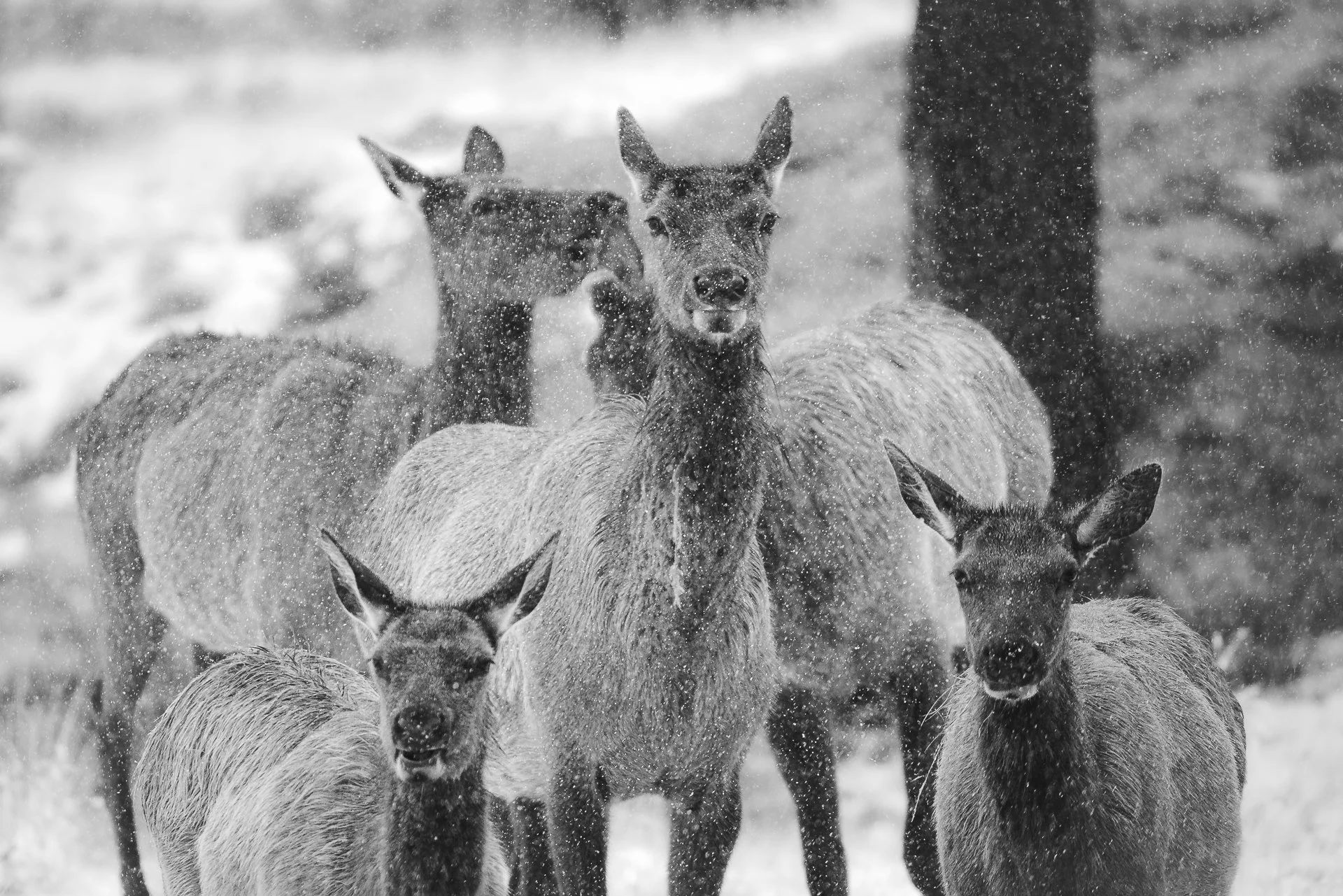 05062025_RMNP-3.jpg