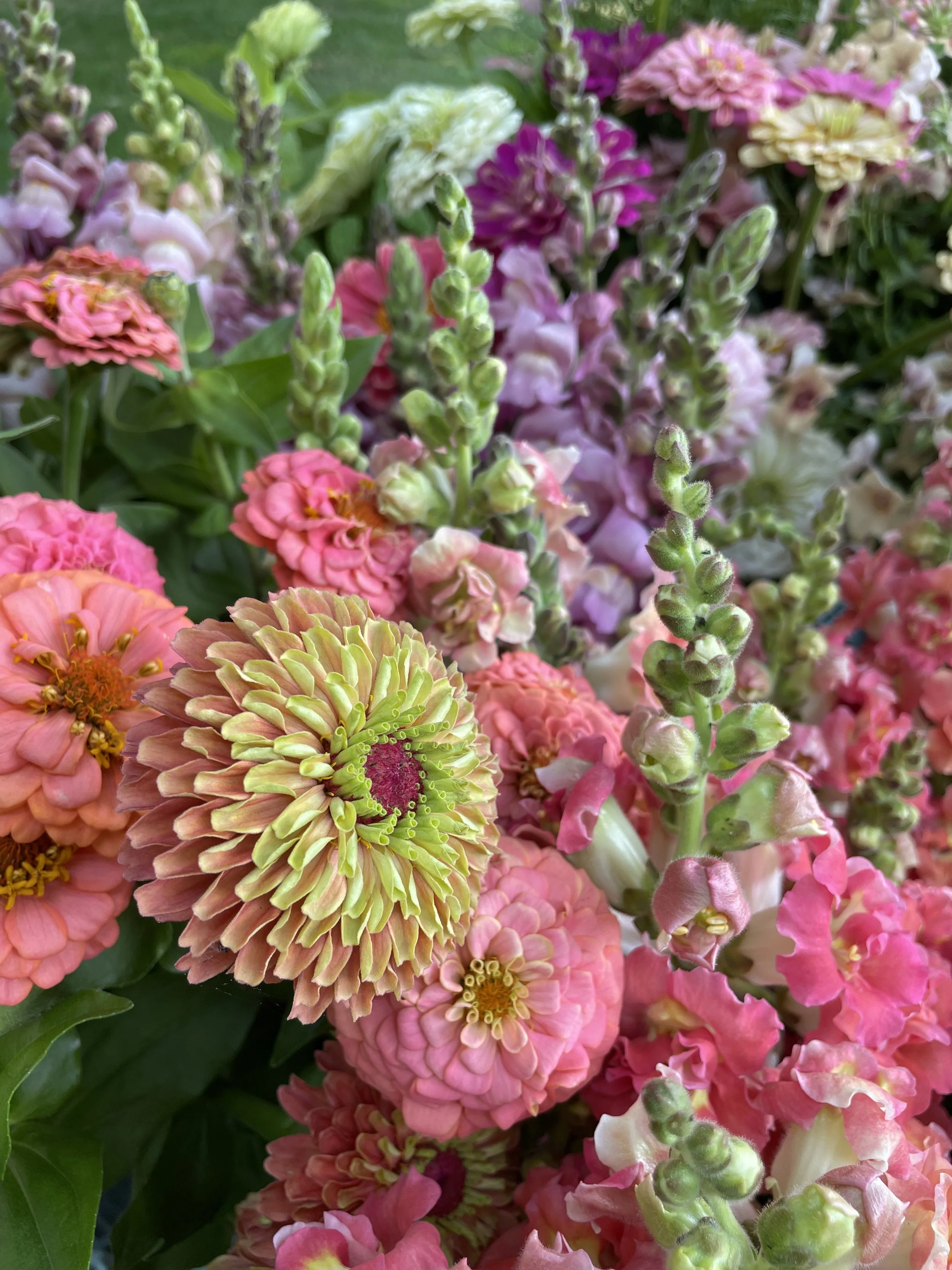 4 week flower subscription