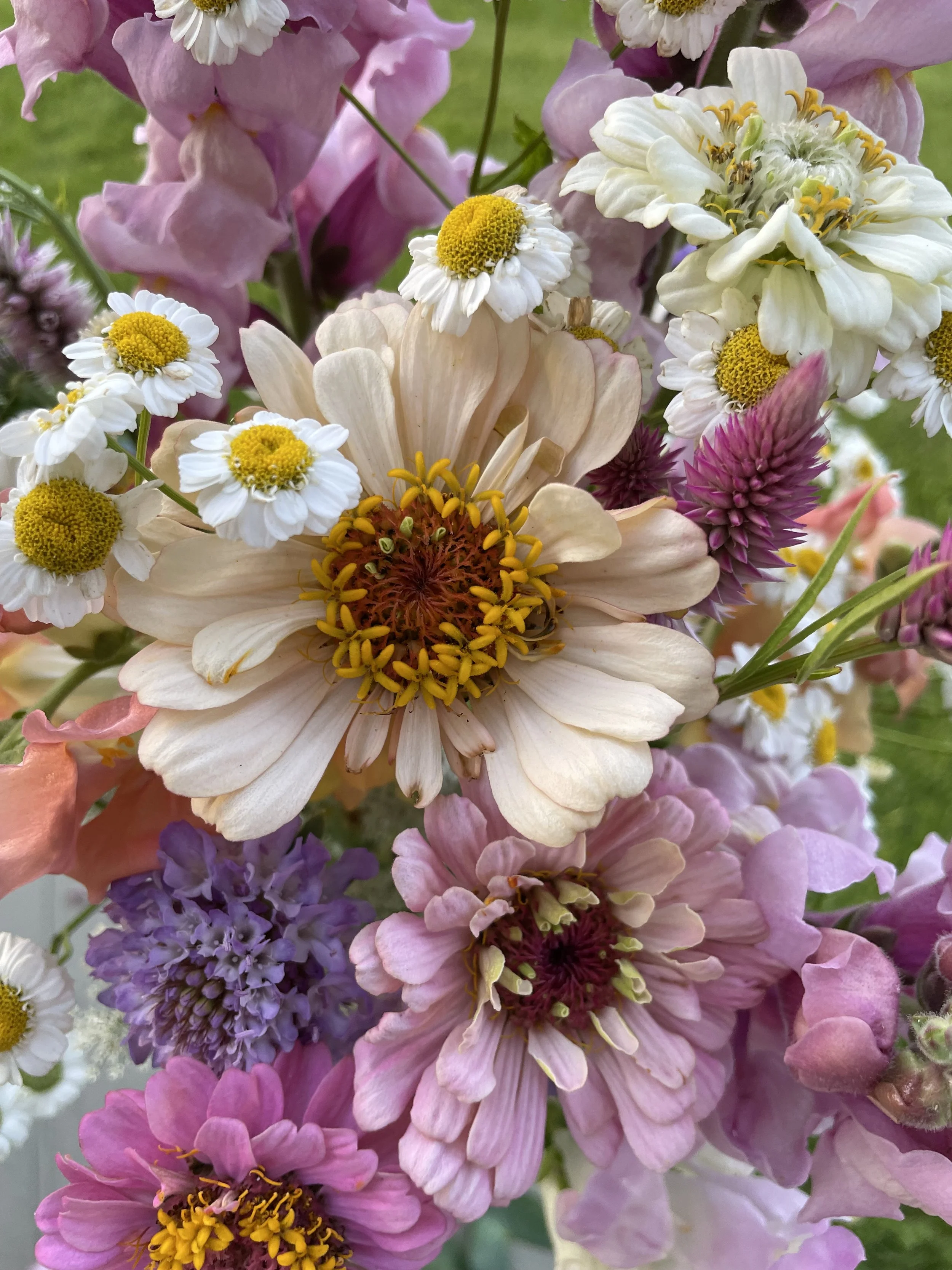 10 week flower subscription