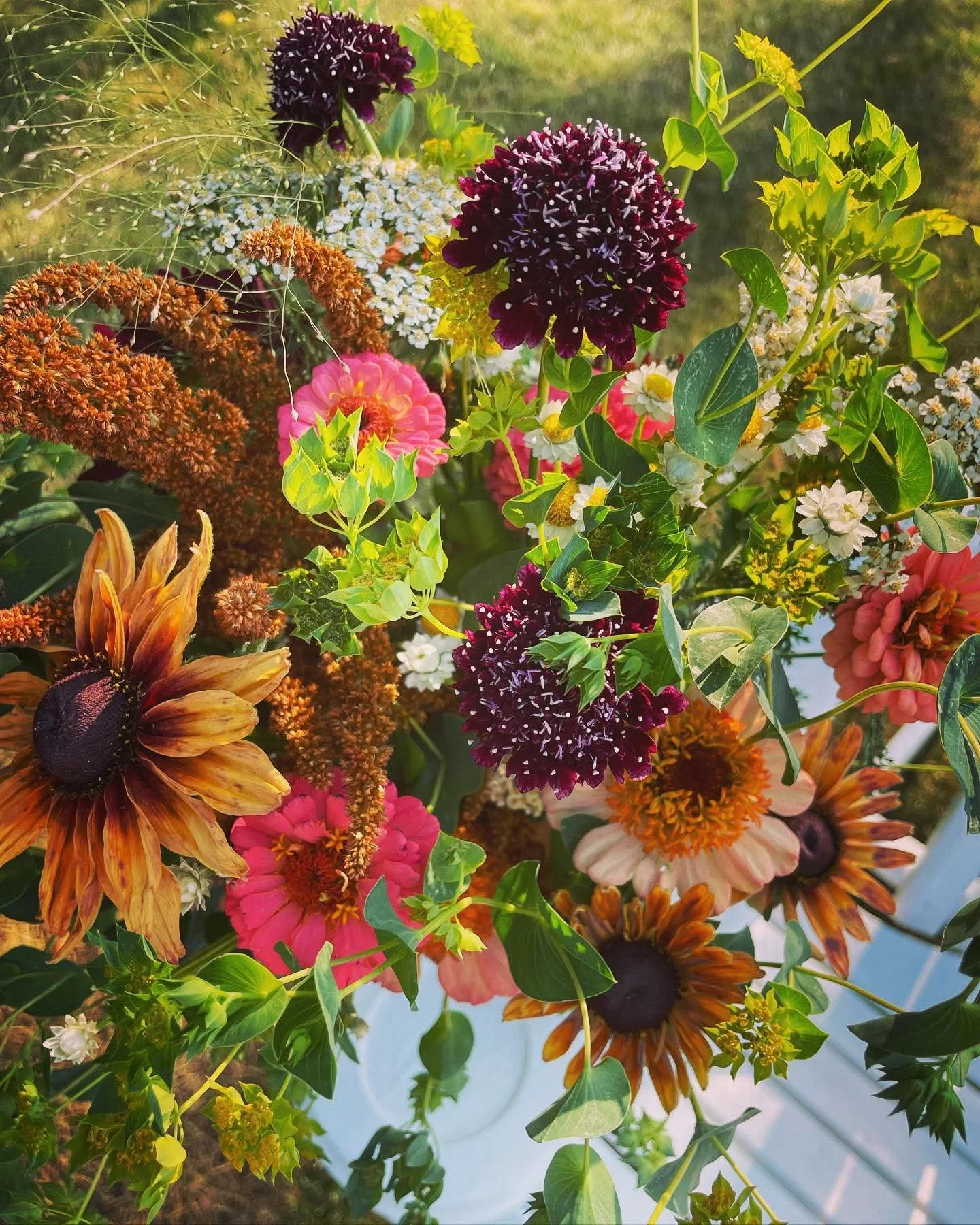 8 week flower subscription