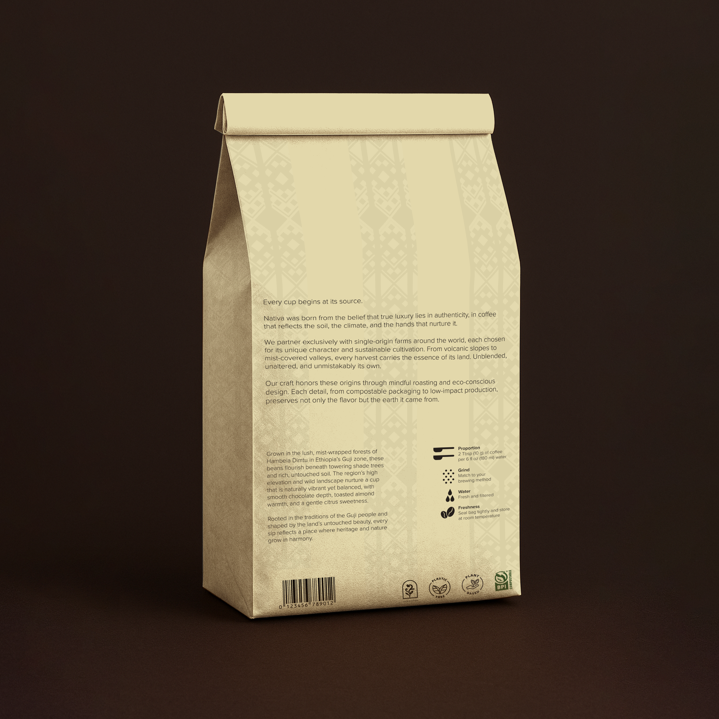 back bag ethiopia 2.png