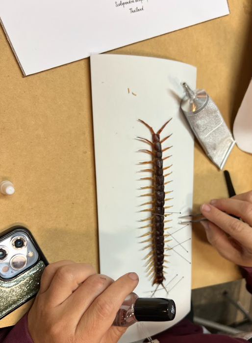 Screenshot 2025-11-23 113530.png