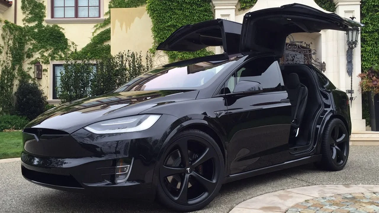 MODEL X  WINGS.jpg