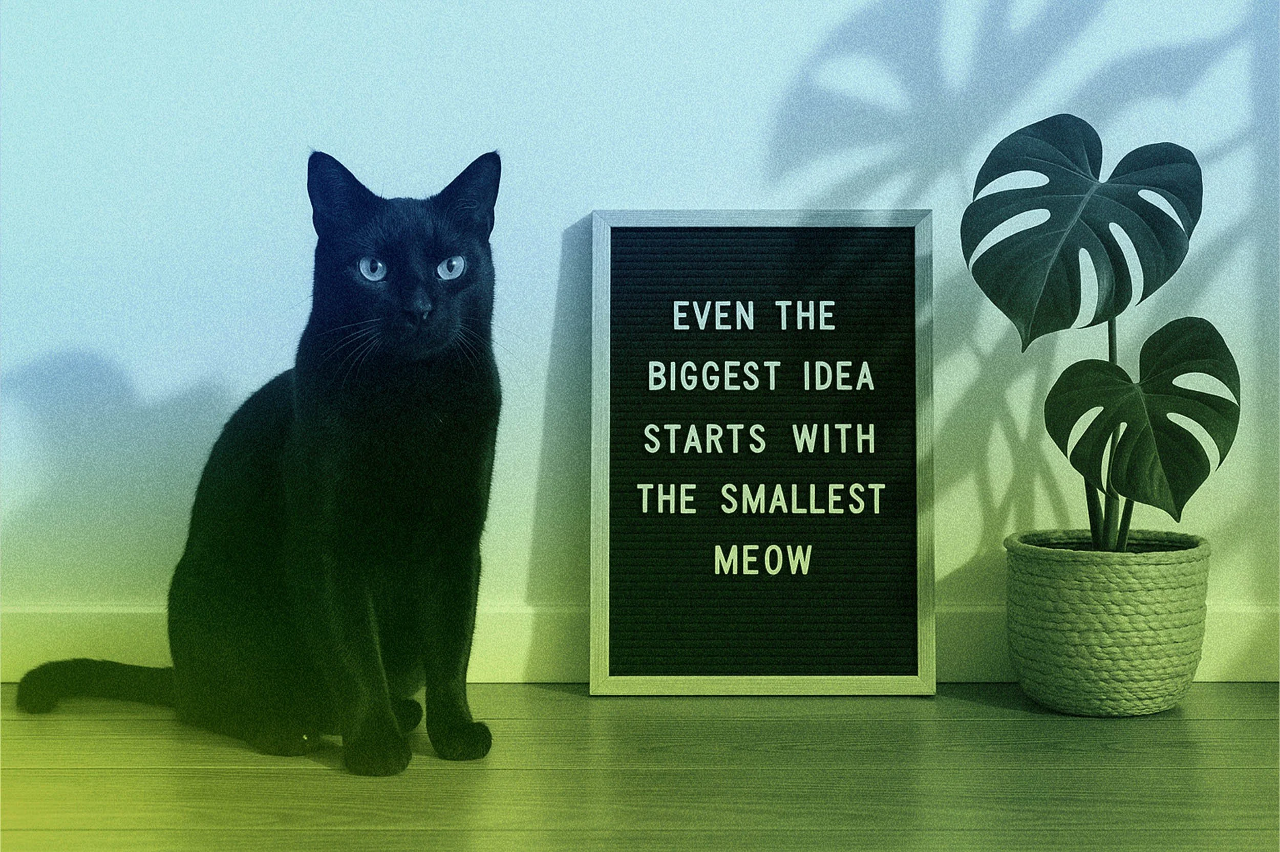Black cat sitting next to a black letter board with the quote, "Even the biggest idea starts with the smallest meow," and a potted monstera plant on the right.