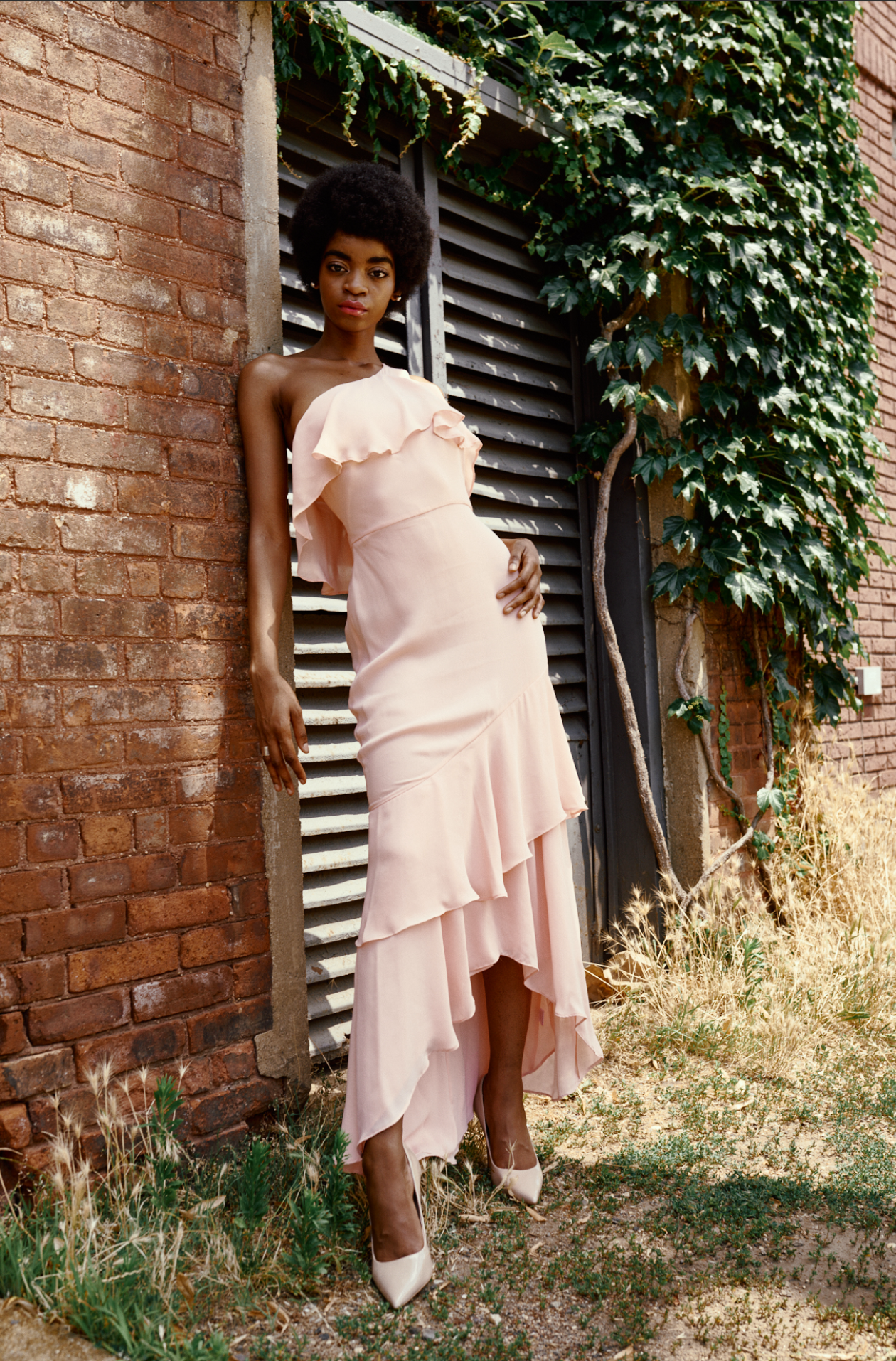 Screen Shot 2022-07-10 at 1.03.04 AM.png