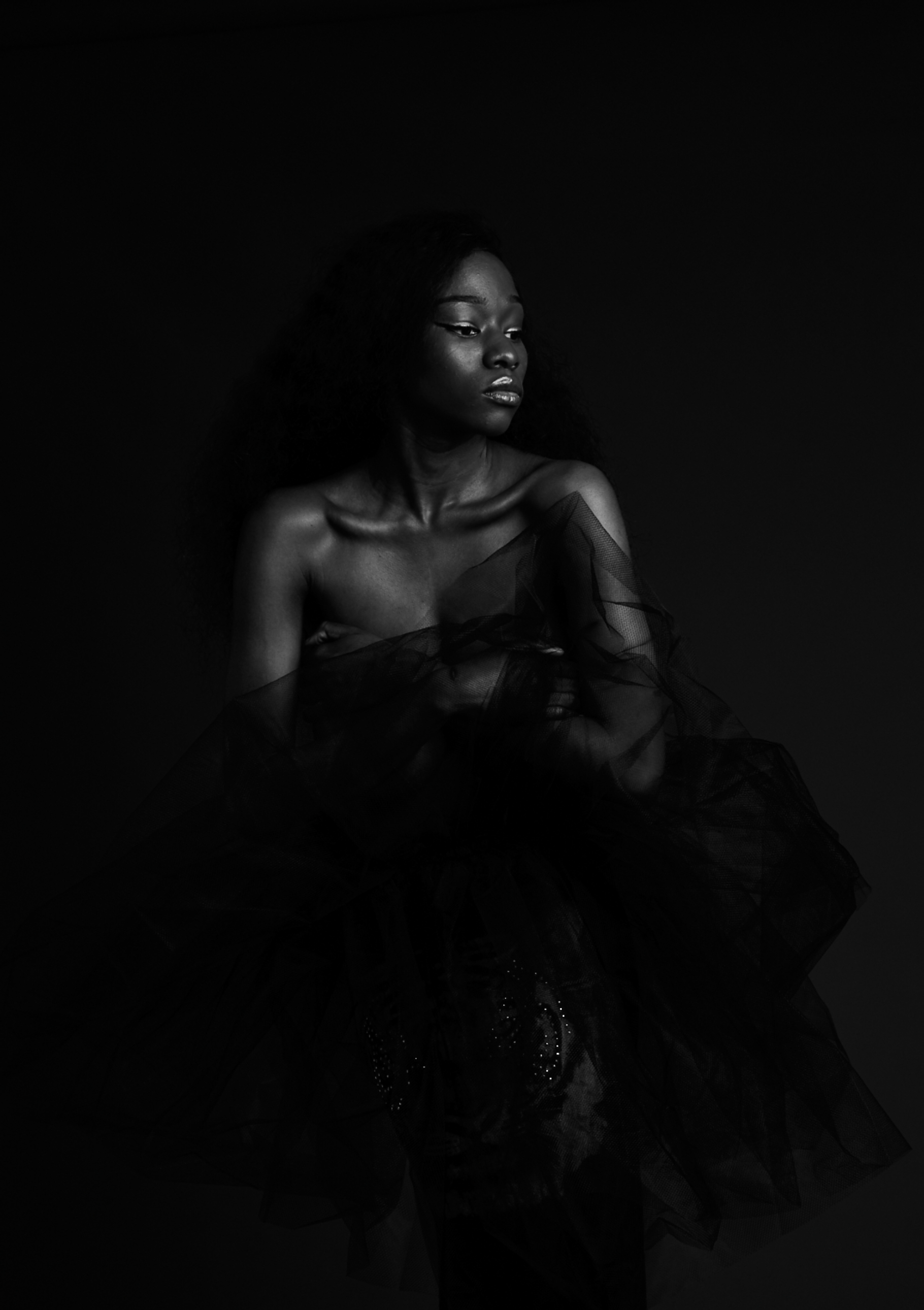 Screen Shot 2022-07-10 at 12.51.23 AM.png