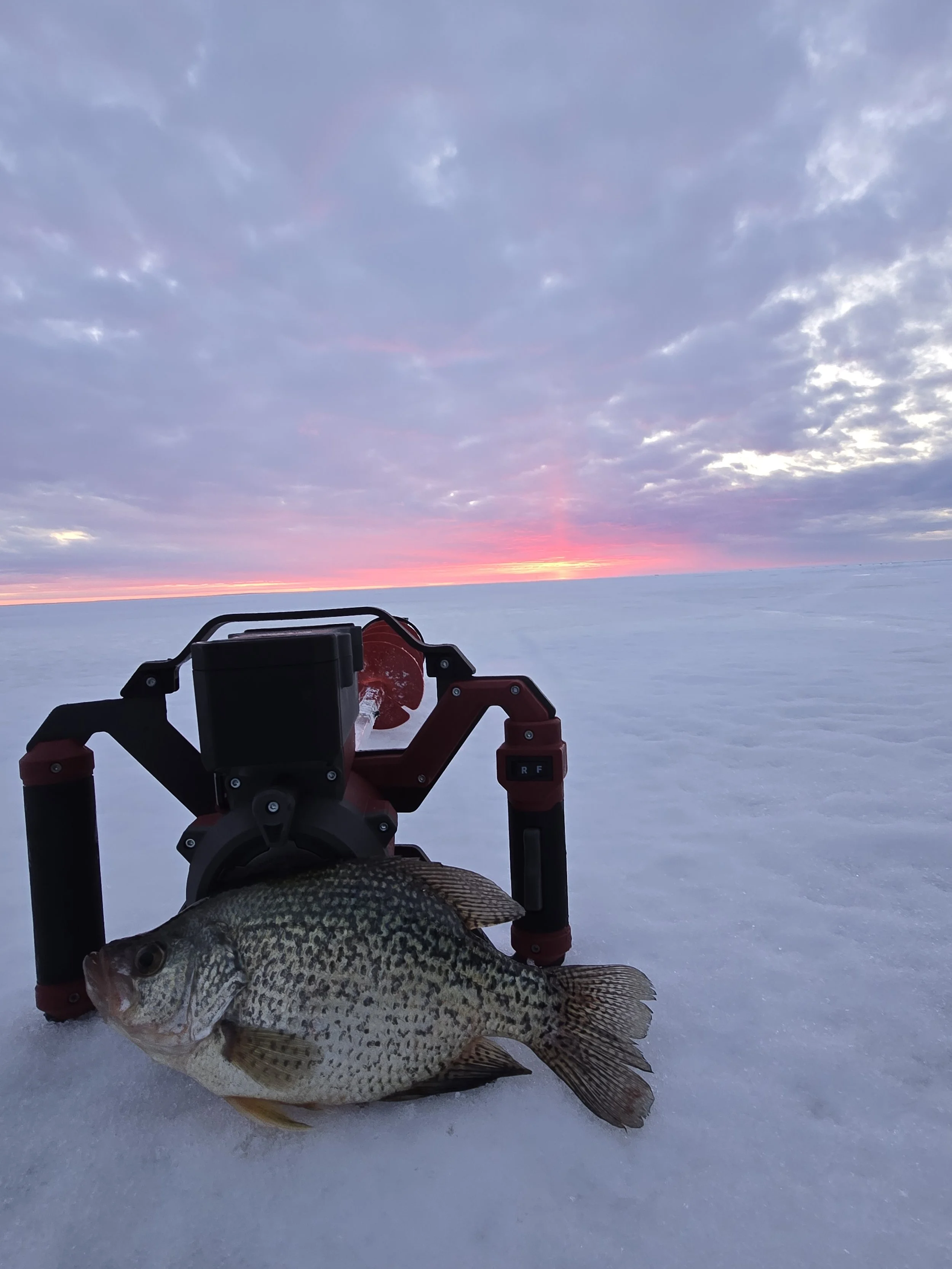 A large fish, possibly a crappie, lying on snow in front of a fishing tackle holder with a mounted fish finder and a hat. The background features a snow-covered landscape with a colorful, cloudy sky at sunset.