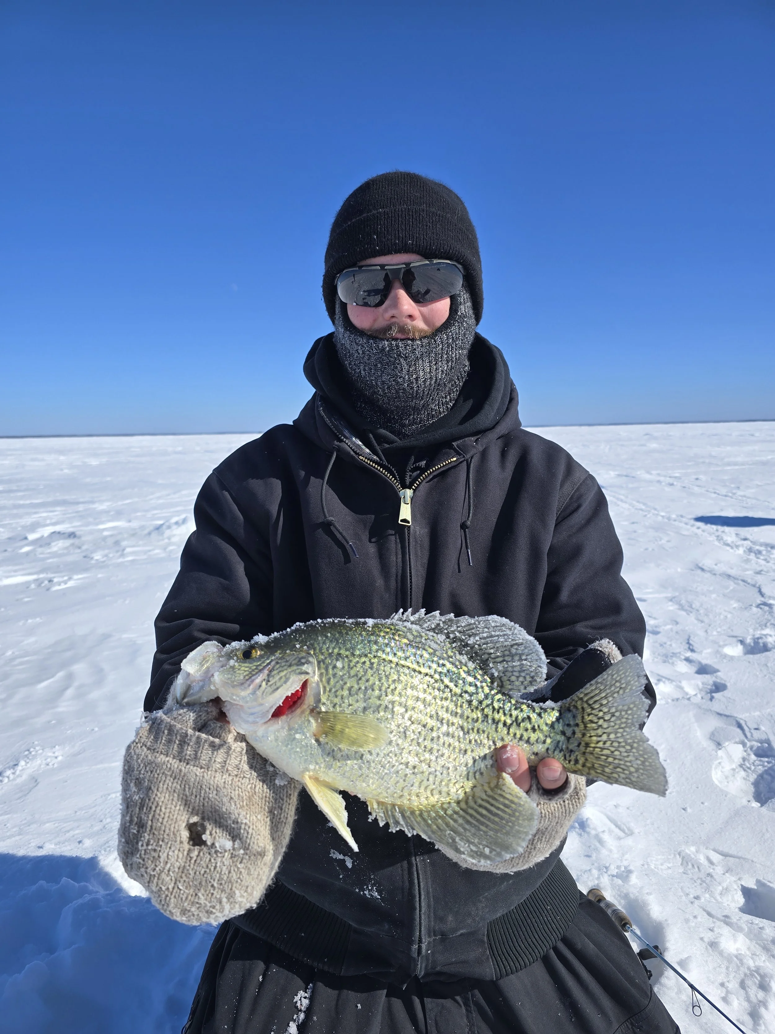 Man in winter clothing holding a large fish on snow-covered ground under clear blue sky.