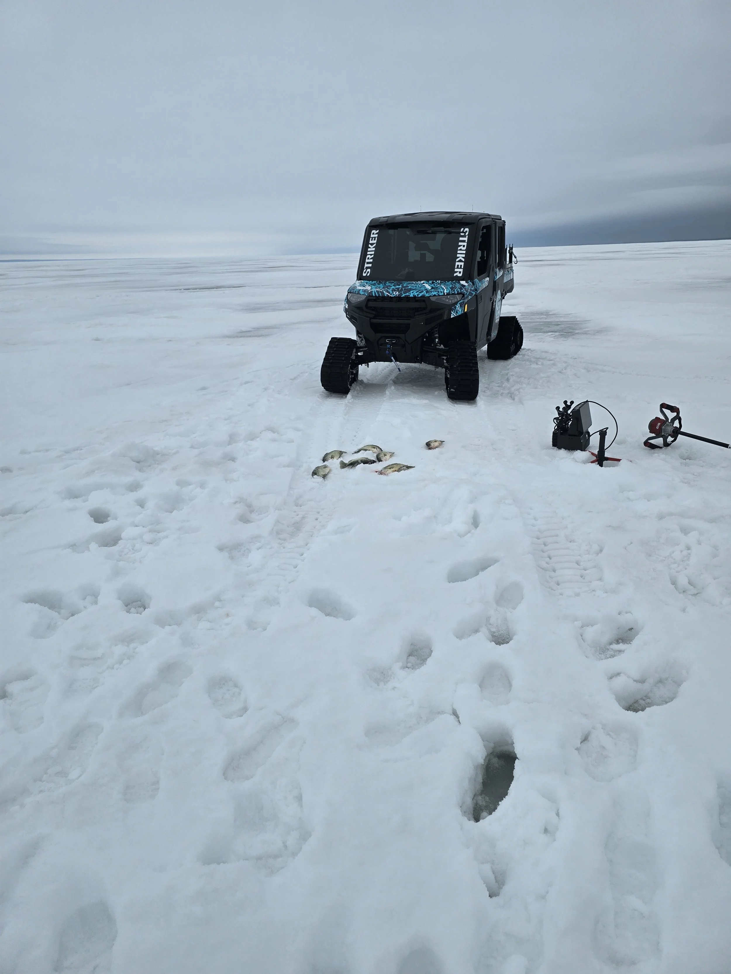 A snowmobile on a snowy, icy landscape under a cloudy sky, with some fish laid out on the snow in front of it.
