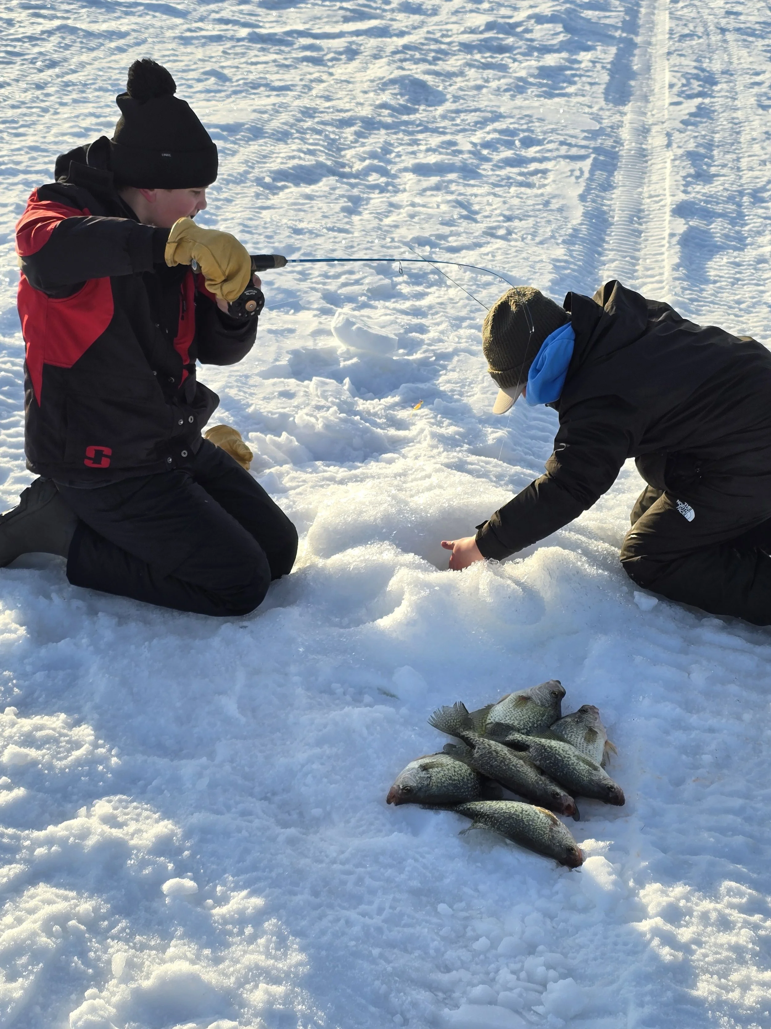 Two boys in winter clothing on a snowy ice-covered area, one is sitting and the other is bending down, with several fish laid on the snow in front of them.