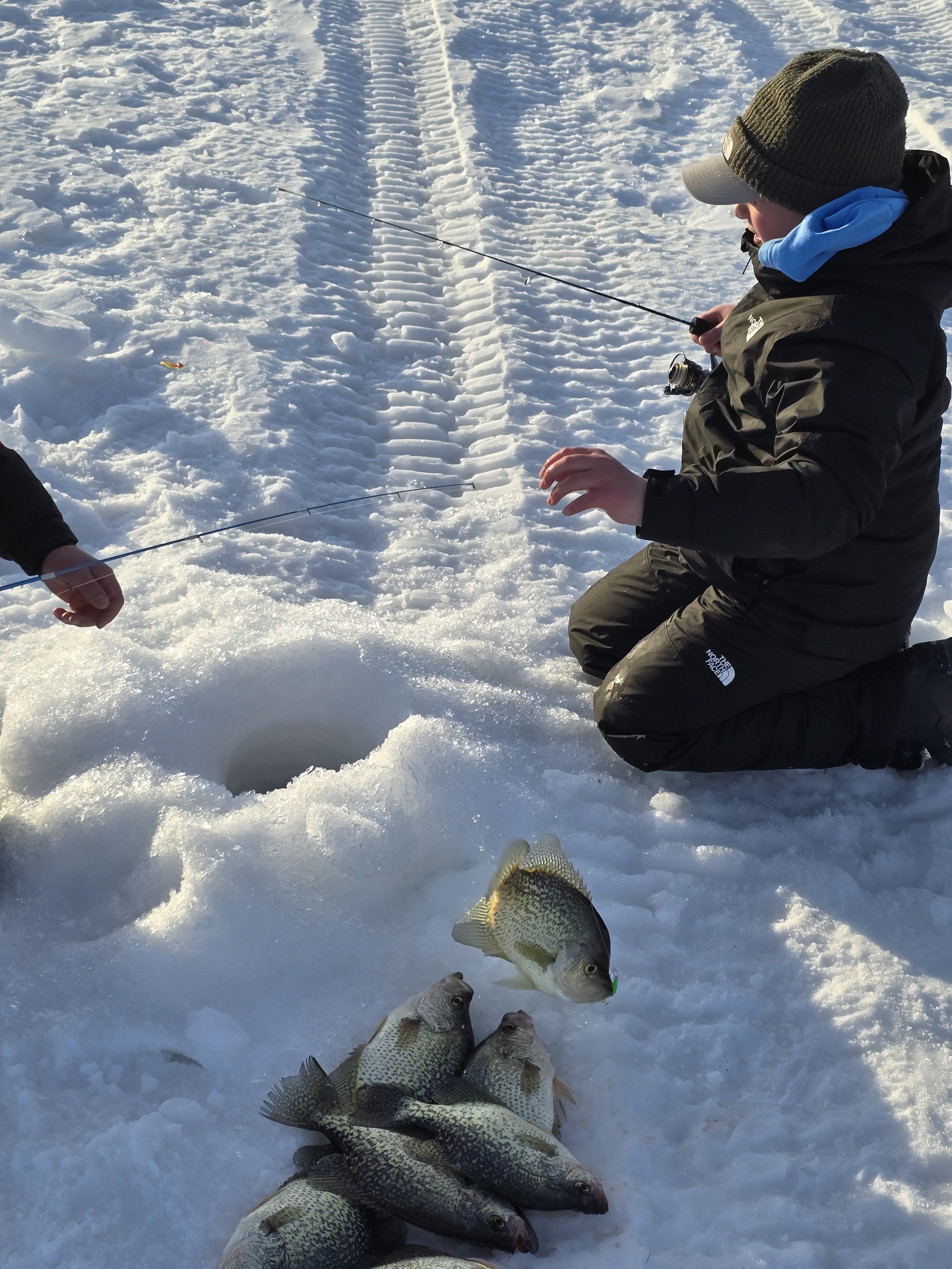 A person in winter clothing fishing on snow-covered ice, with a catch of several fish laid out on the ice in front of them.