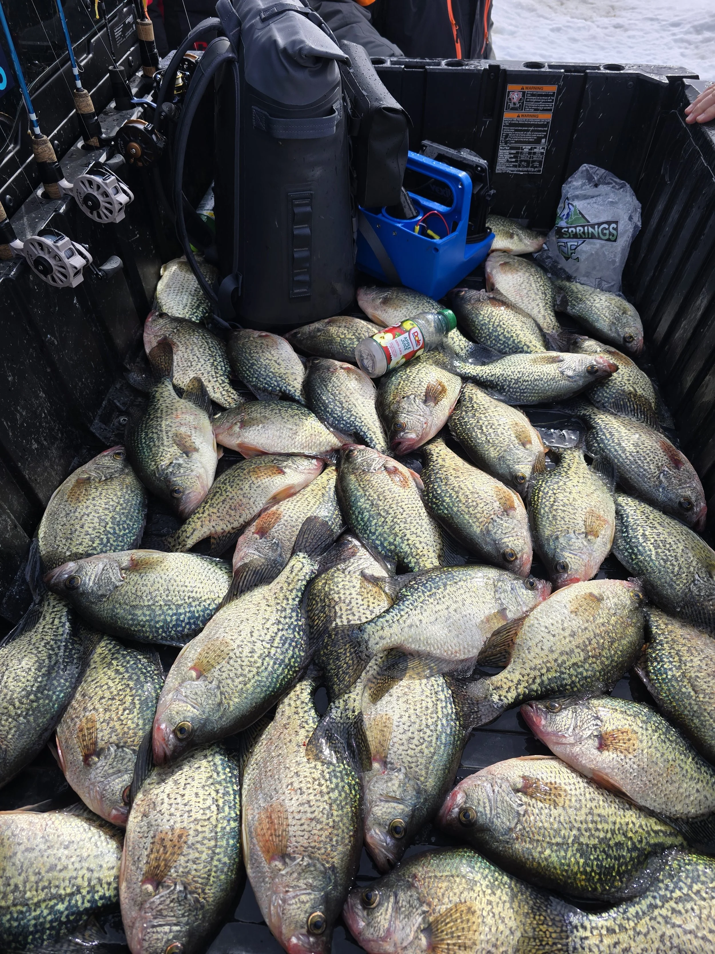 Multiple fish, likely crappies, laying on the bottom of a boat with fishing rods, a black bag, a blue tackle box, a water bottle, and a plastic bag nearby, with water in the background.