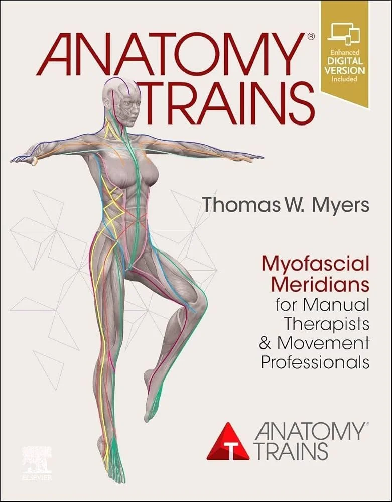 Anatomy Trains Blog Post Summary &amp; Application