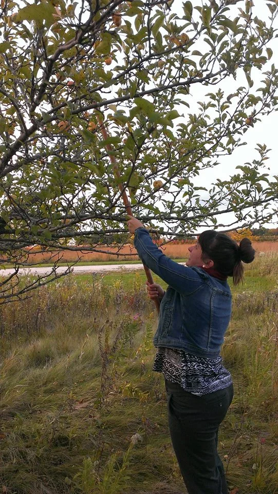 apple-picking_15650714676_o.jpg