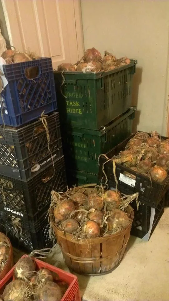 onions-galore_15489628930_o.jpg