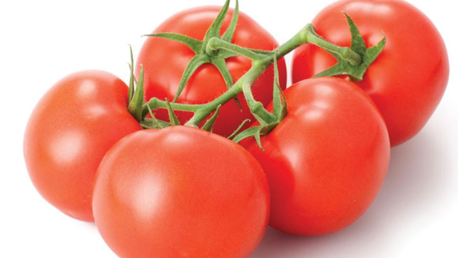 &nbsp; &nbsp;100 lbs of tomatoes