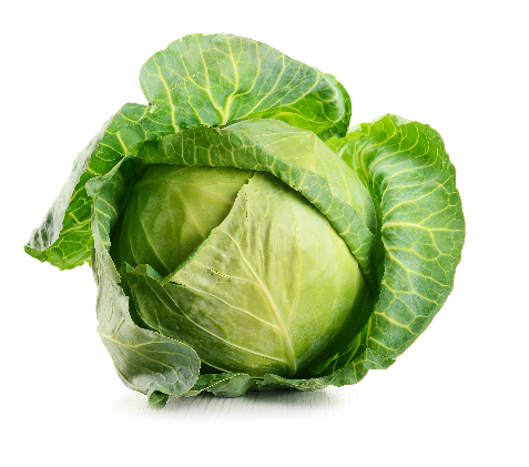 &nbsp; 180 lbs of cabbage