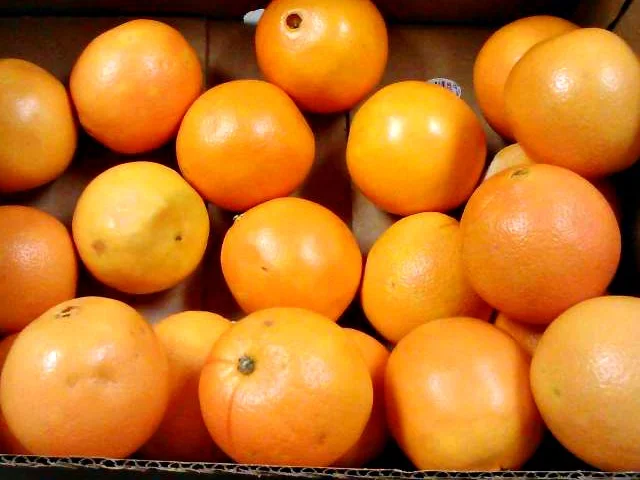 Oranges Donated for Christmas 2012 Goody Bags